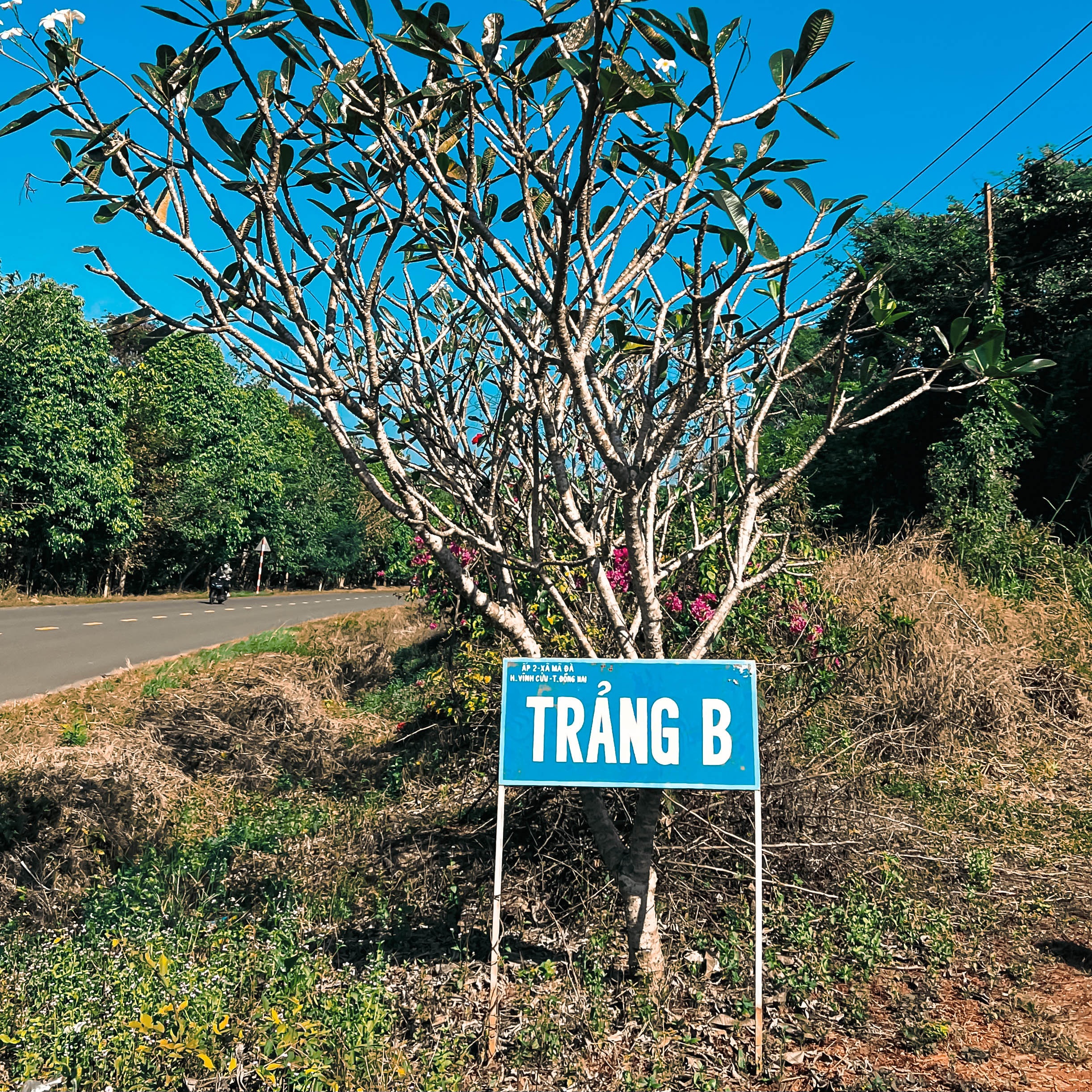 cắm trại gần TP.HCM ảnh 8 cam trai gan TP.HCM anh 8