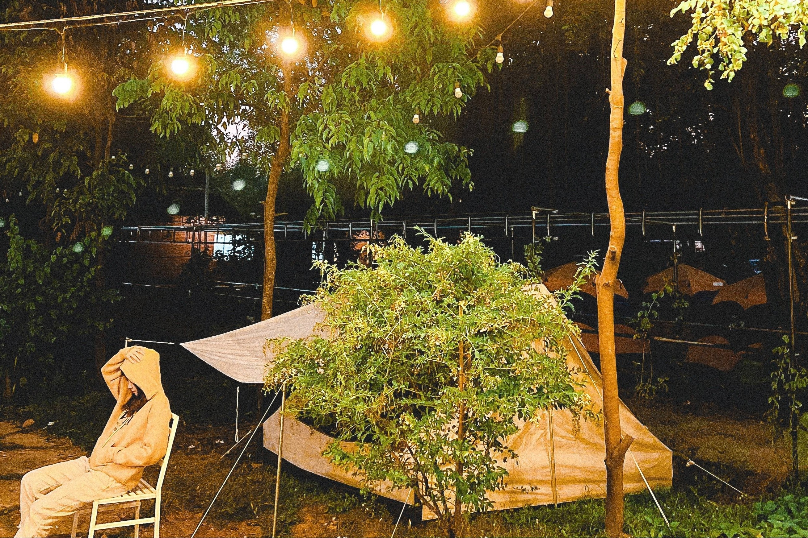 cam trai gan TP.HCM anh 4