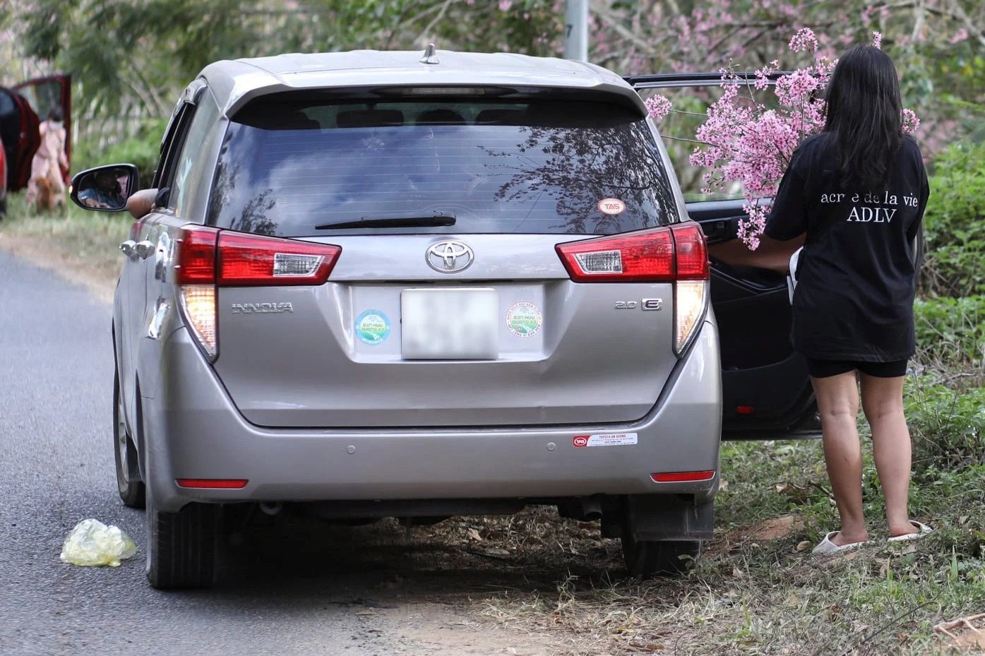 Du khach tu y be mai anh dao tren Da Lat hinh anh