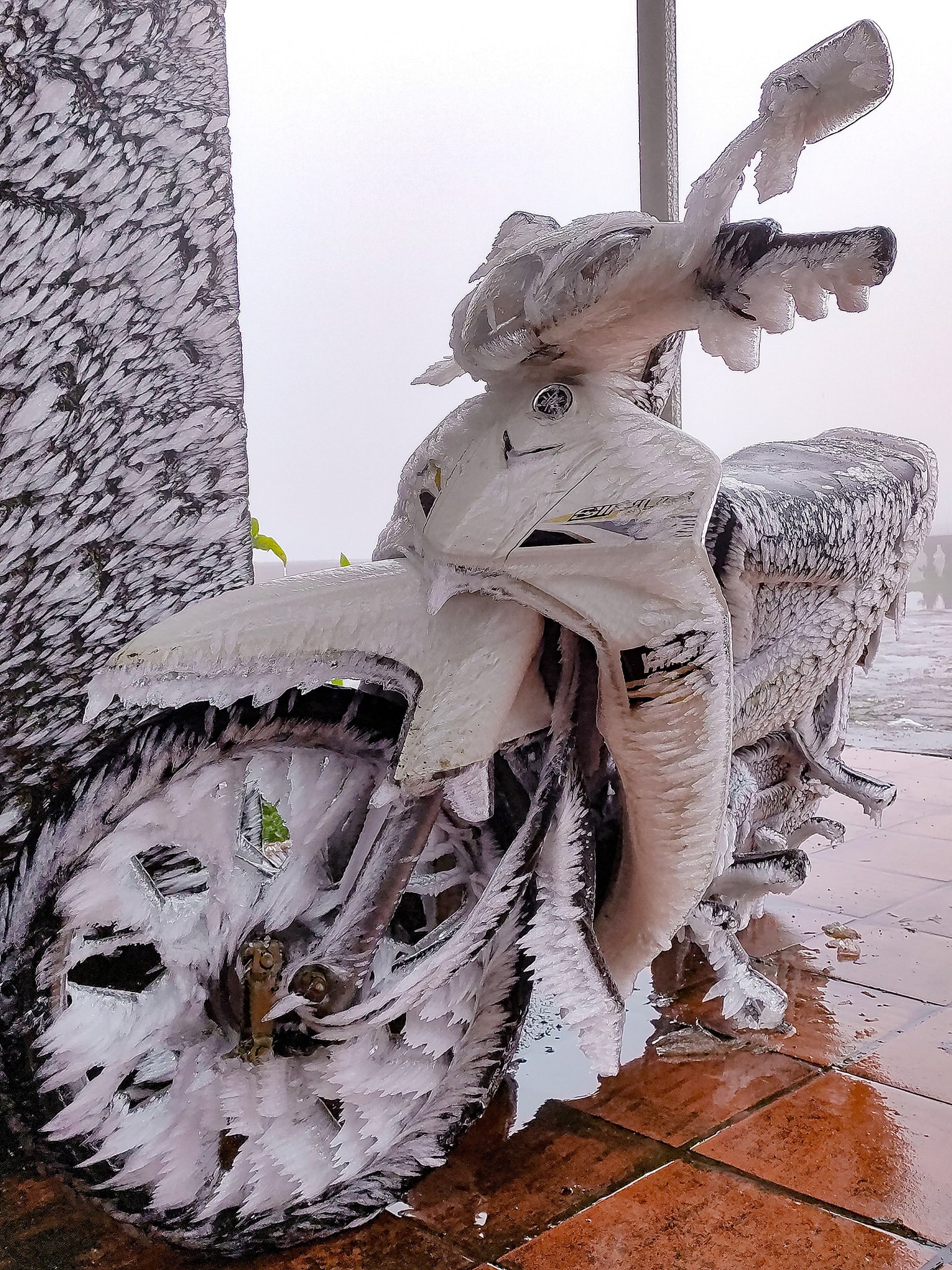 giới trẻ đi săn băng giá ảnh 4 gioi tre di san bang gia anh 4