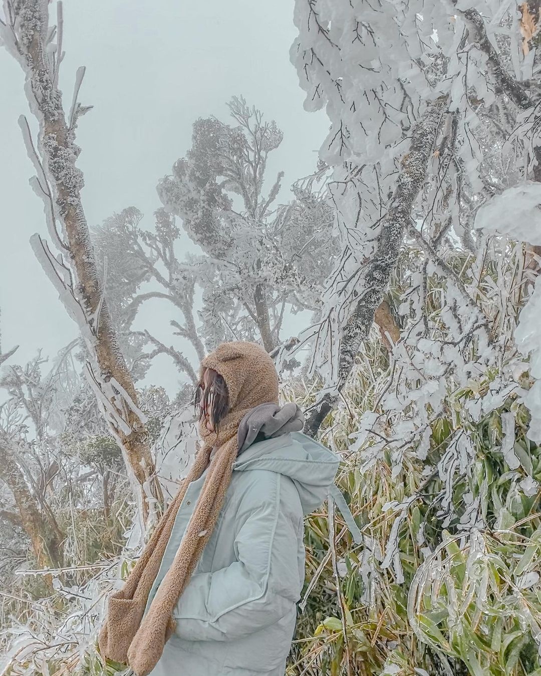 giới trẻ đi săn băng giá ảnh 1 gioi tre di san bang gia anh 1