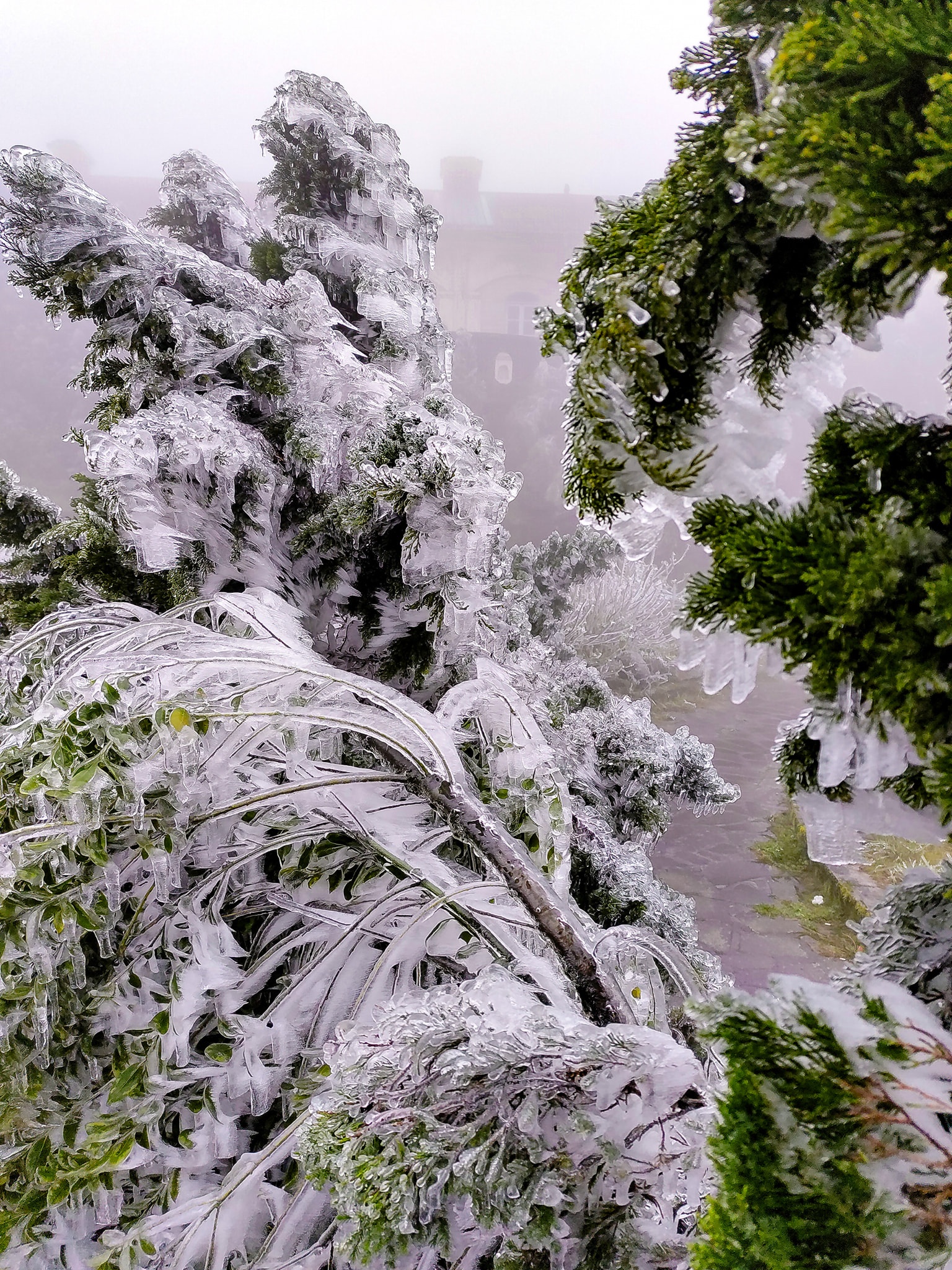 giới trẻ đi săn băng giá ảnh 5 gioi tre di san bang gia anh 5