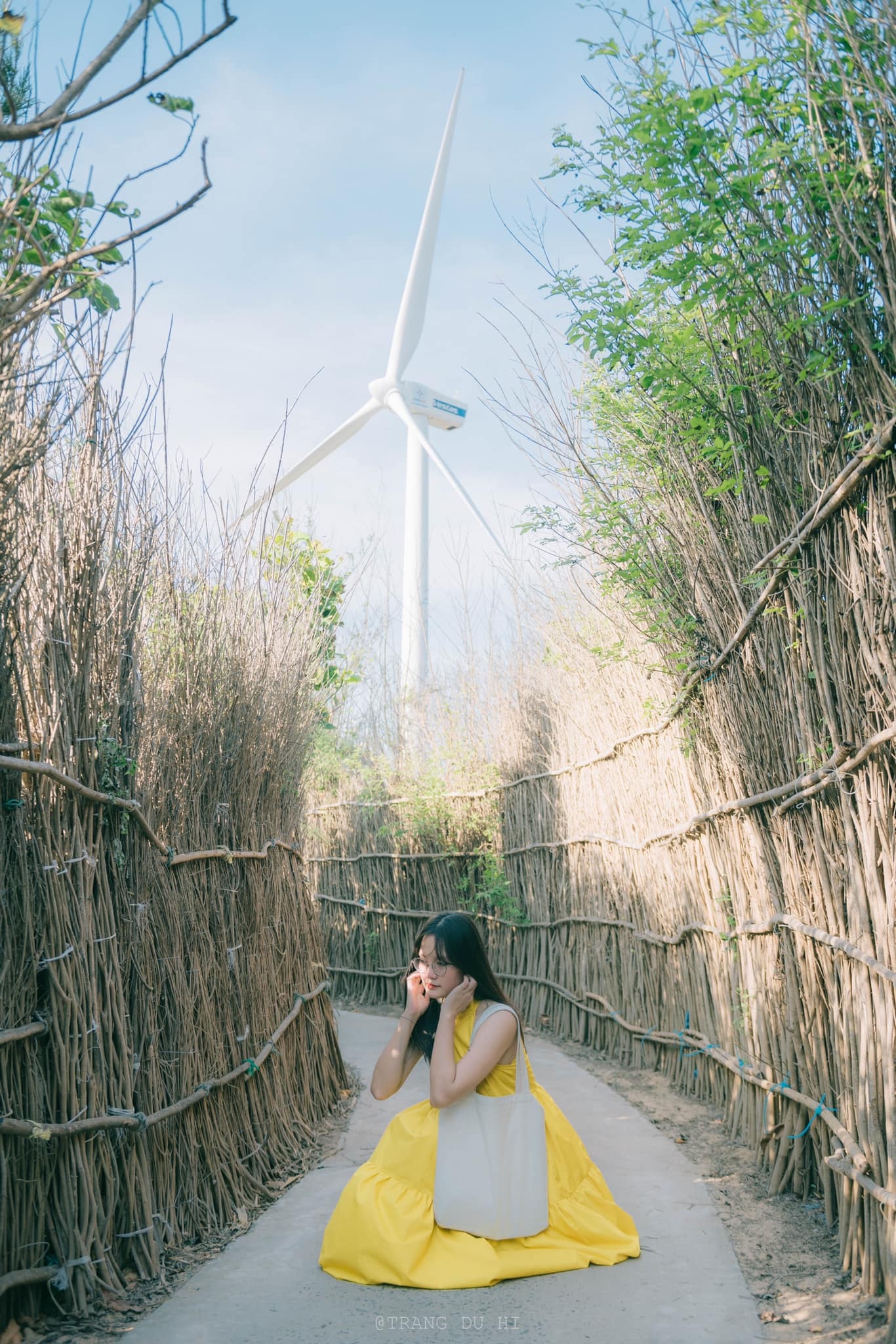 cô gái xuyên Việt ảnh 6 co gai xuyen Viet anh 6