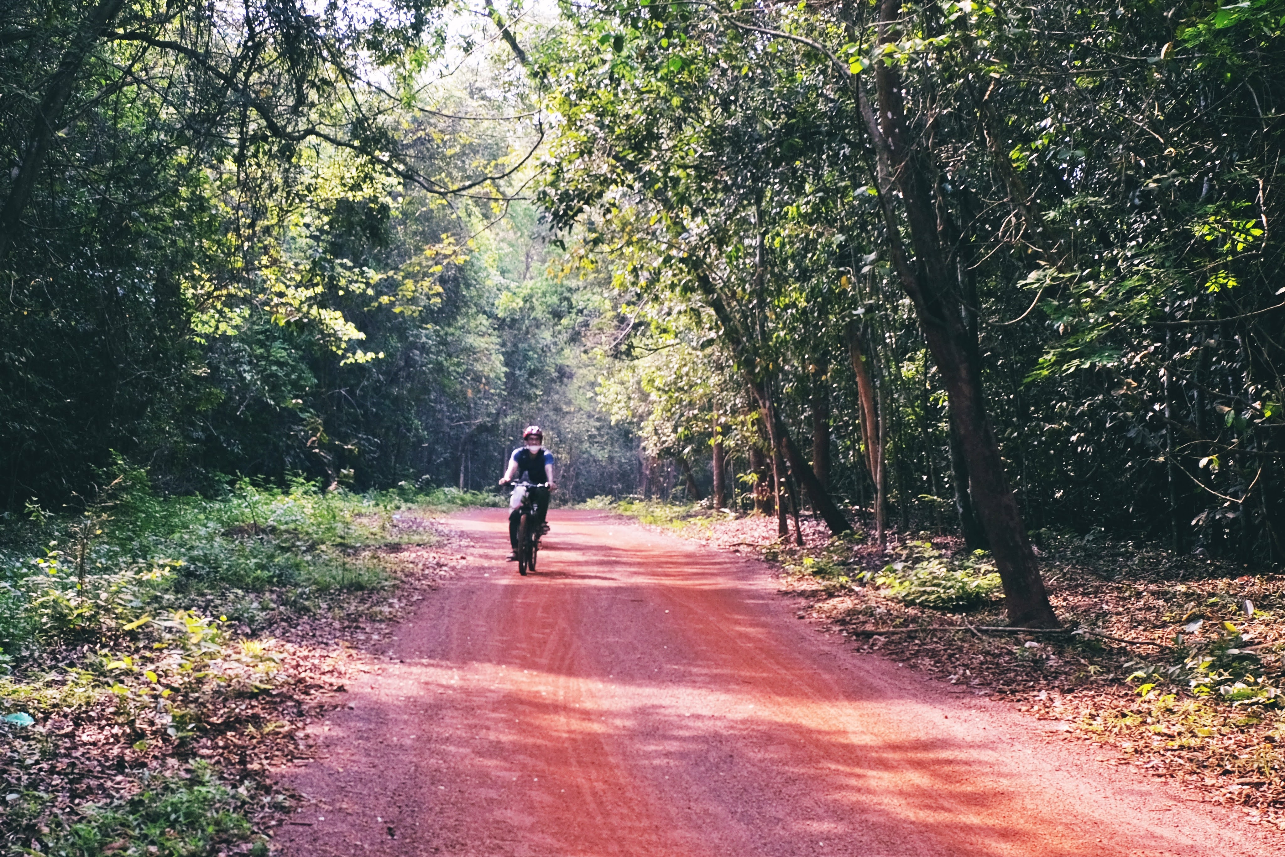 du lich mua le anh 6