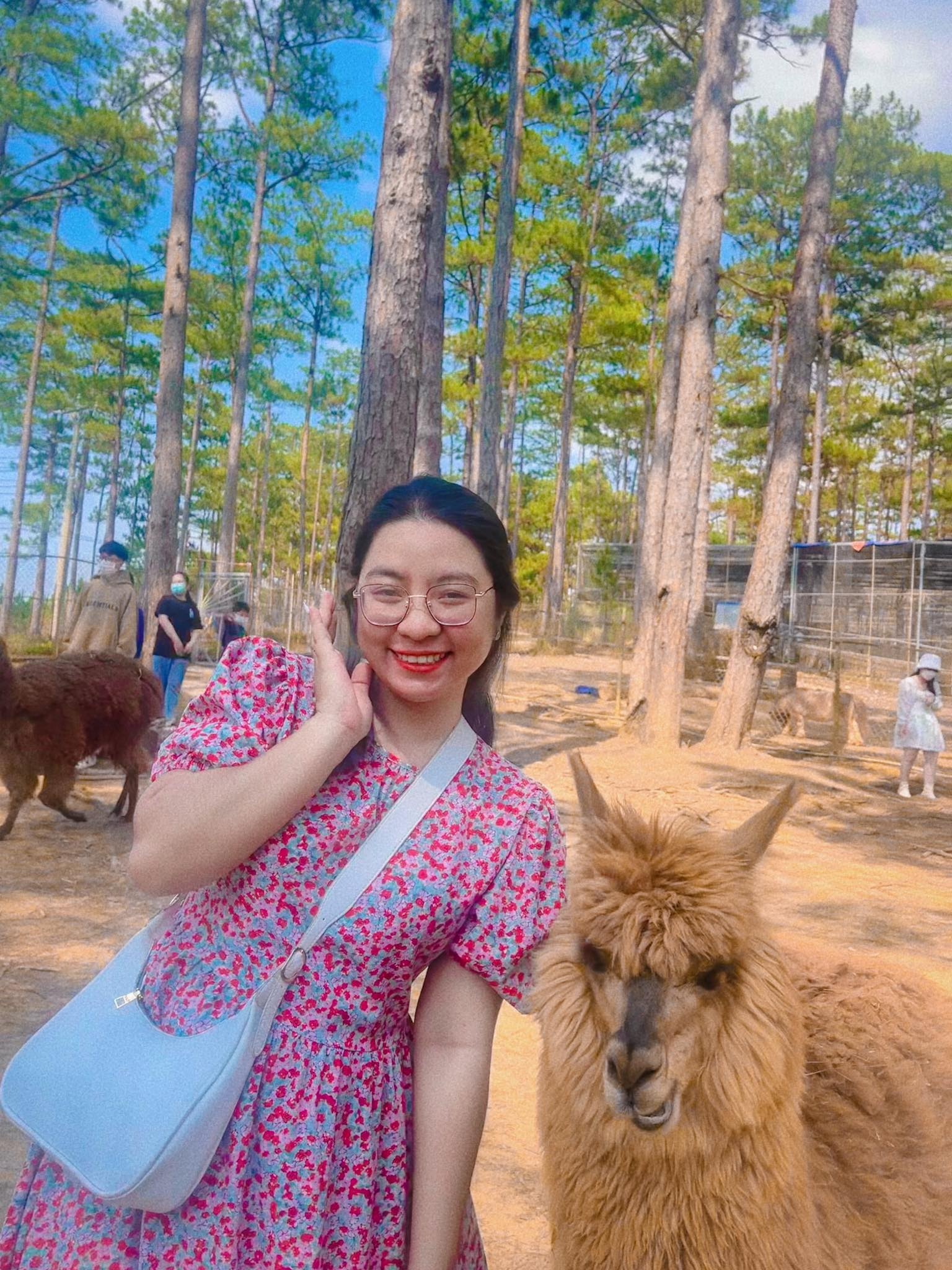 du lich mua le anh 2