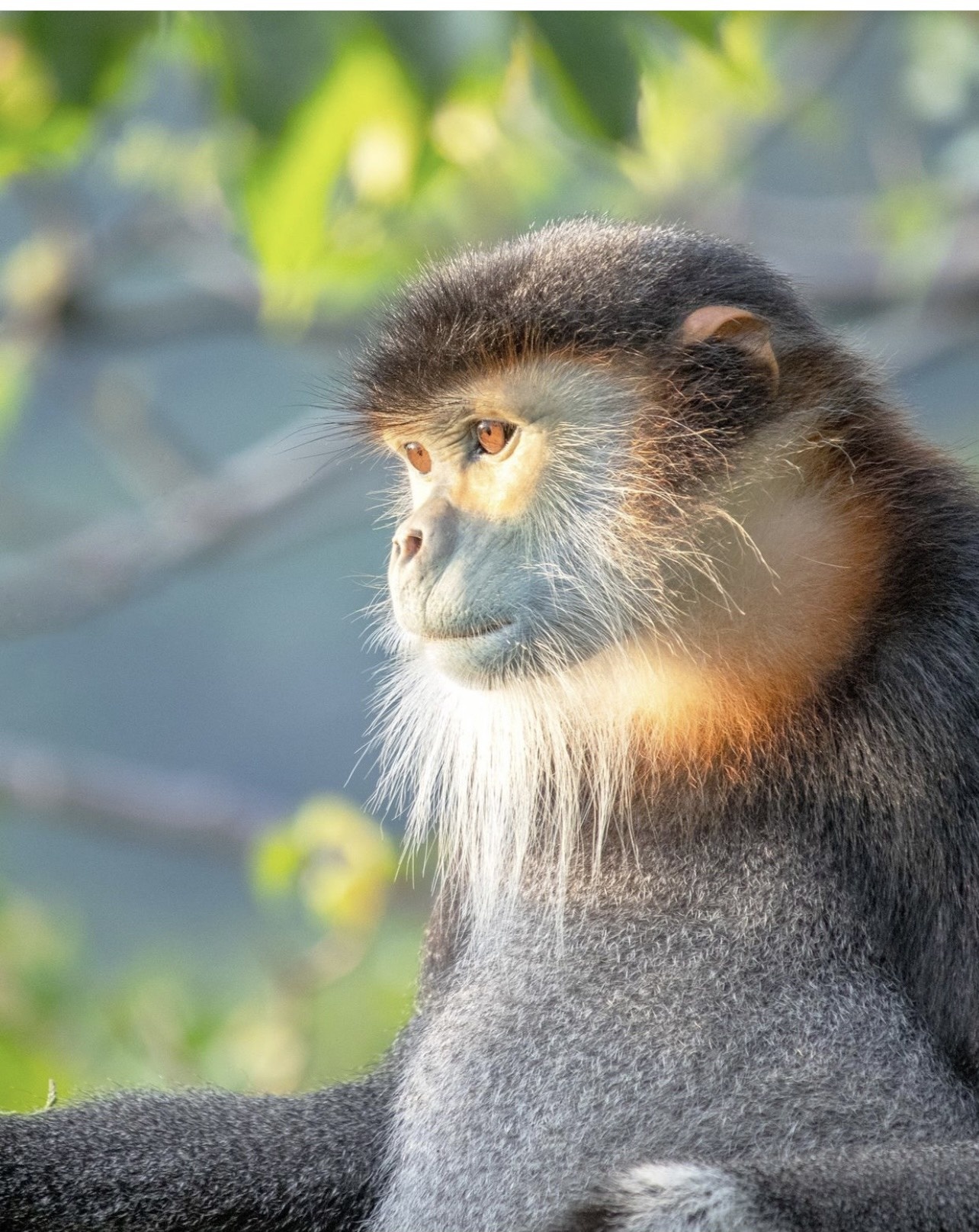 du lich cao cap anh 8