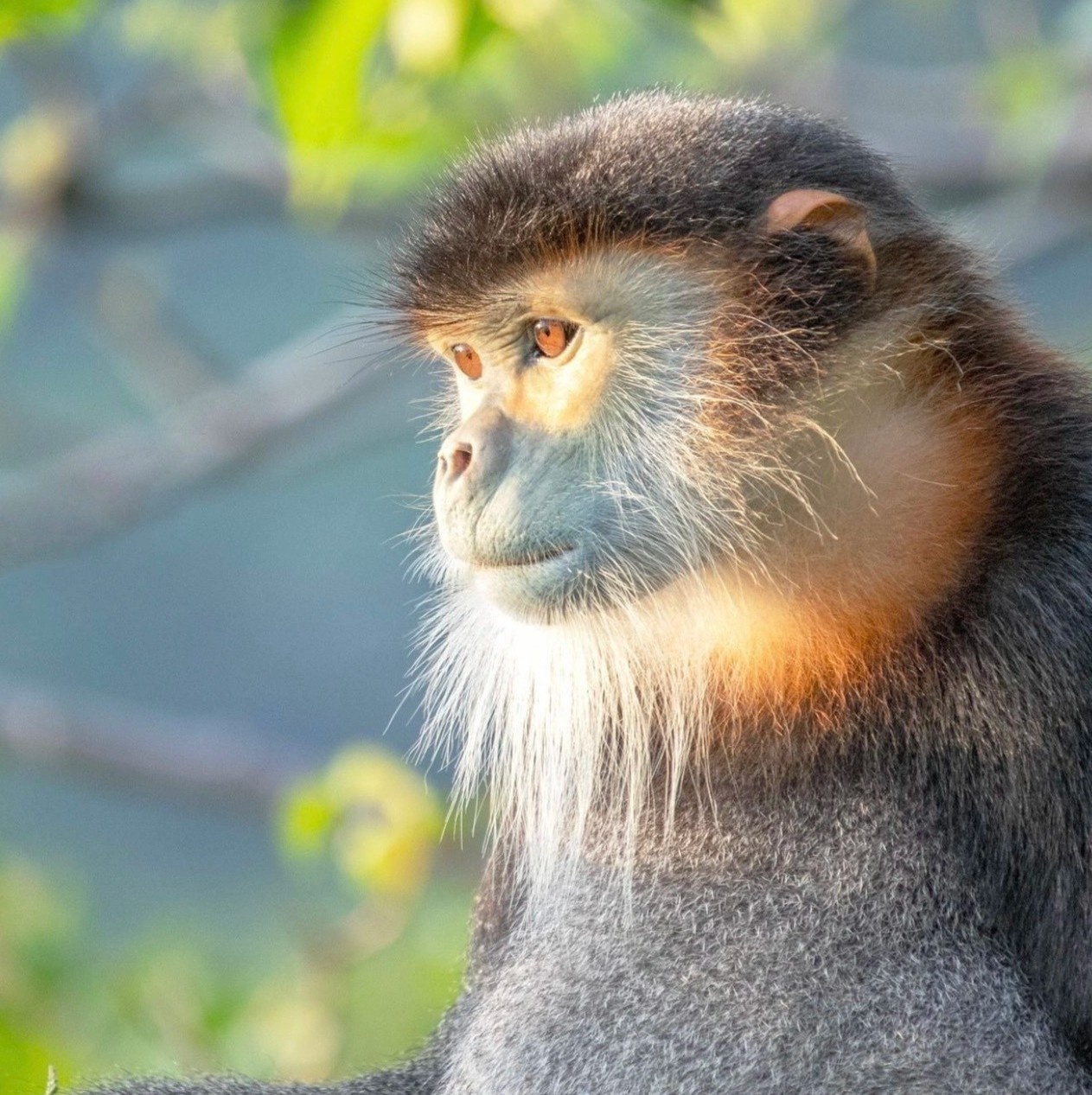 khu nghi duong 5 sao anh 6