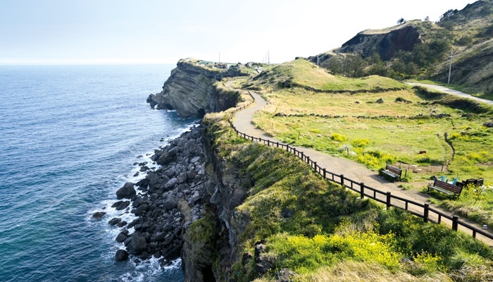 Khach Viet duoc mien thi thuc di Jeju, Yangyang hinh anh