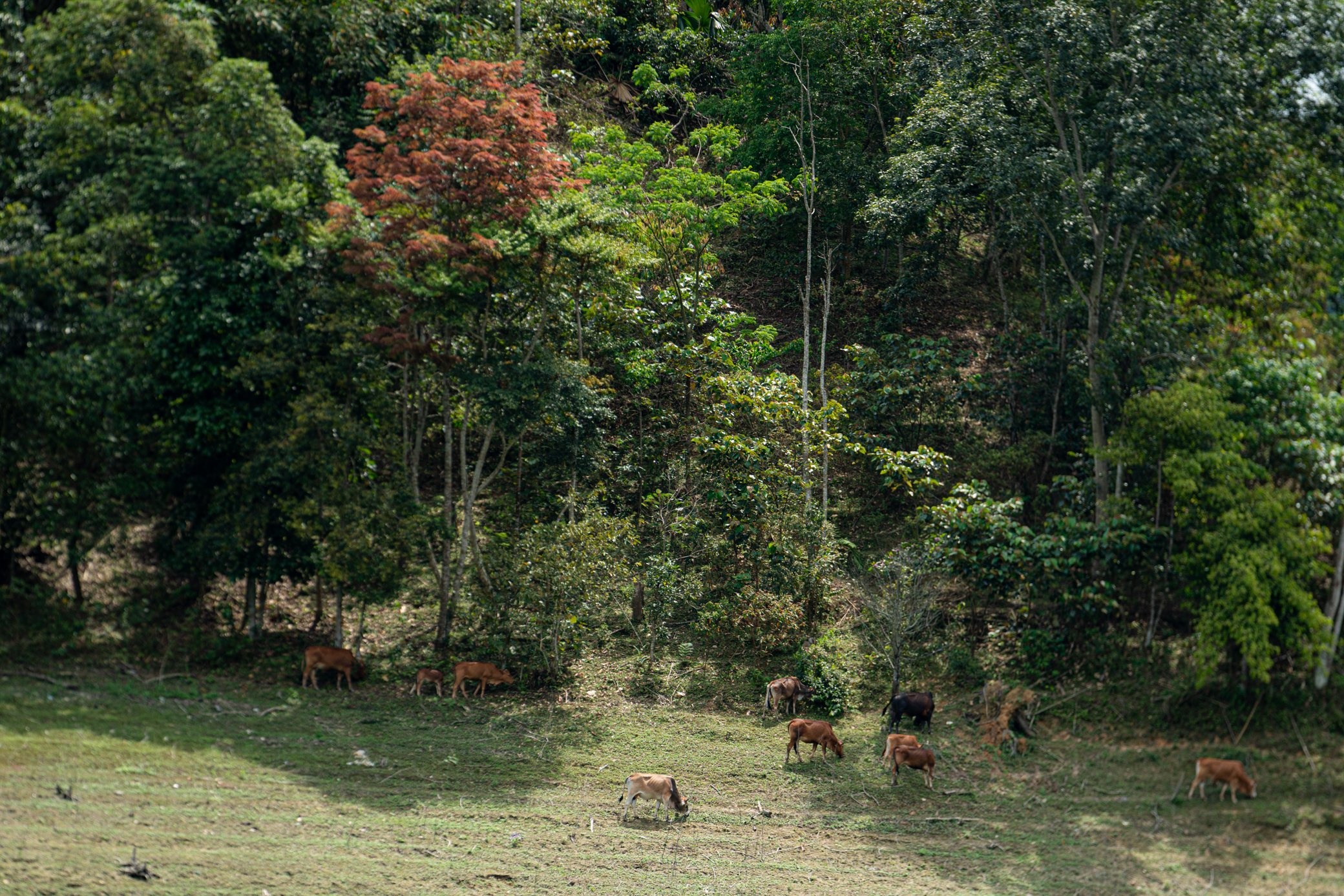 du lich song Gam anh 7