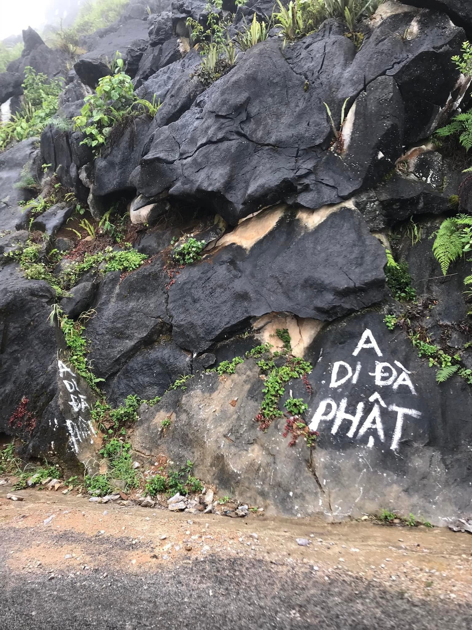 son chu tren cao nguyen da Dong Van anh 1