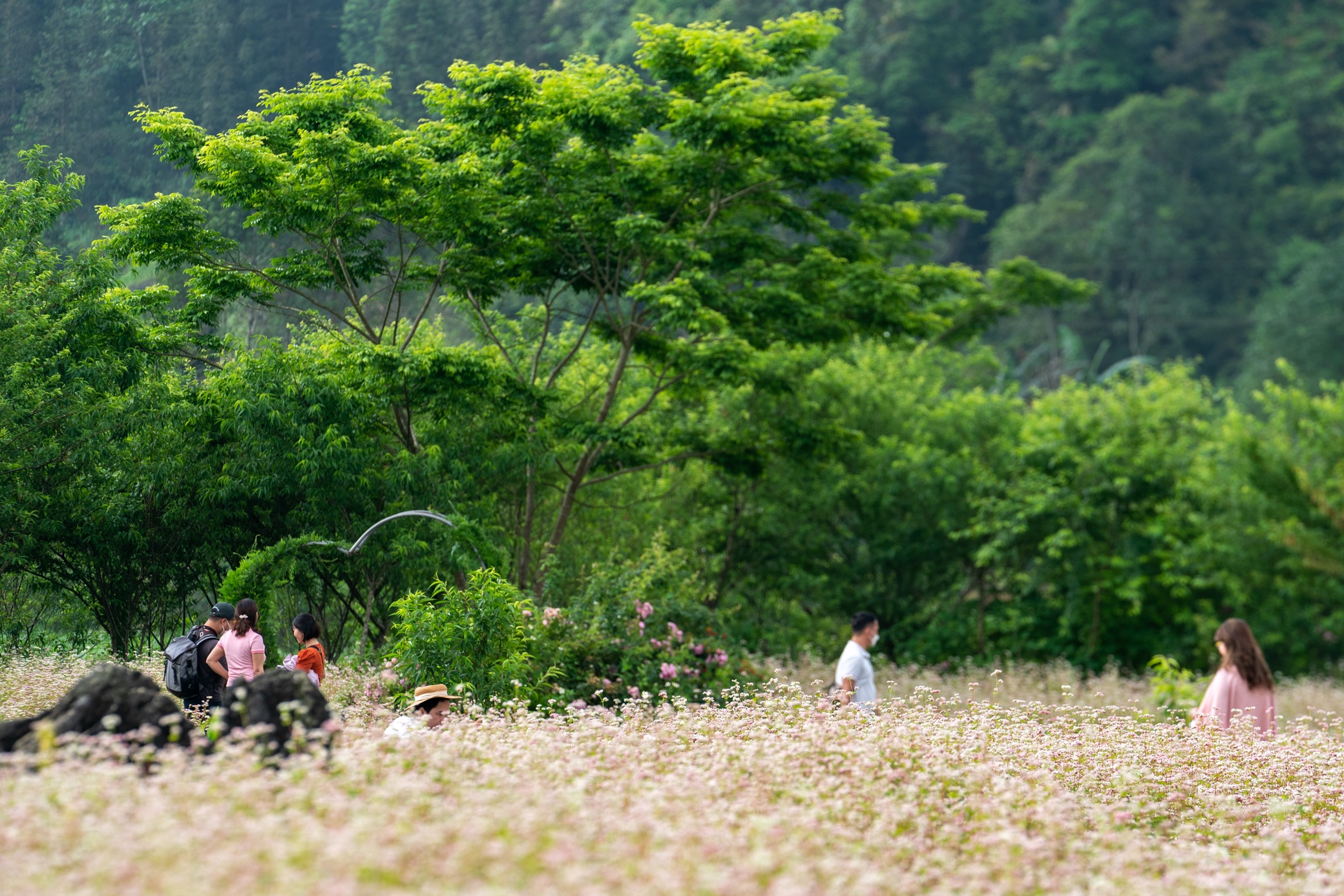 du lich Ha Giang anh 4