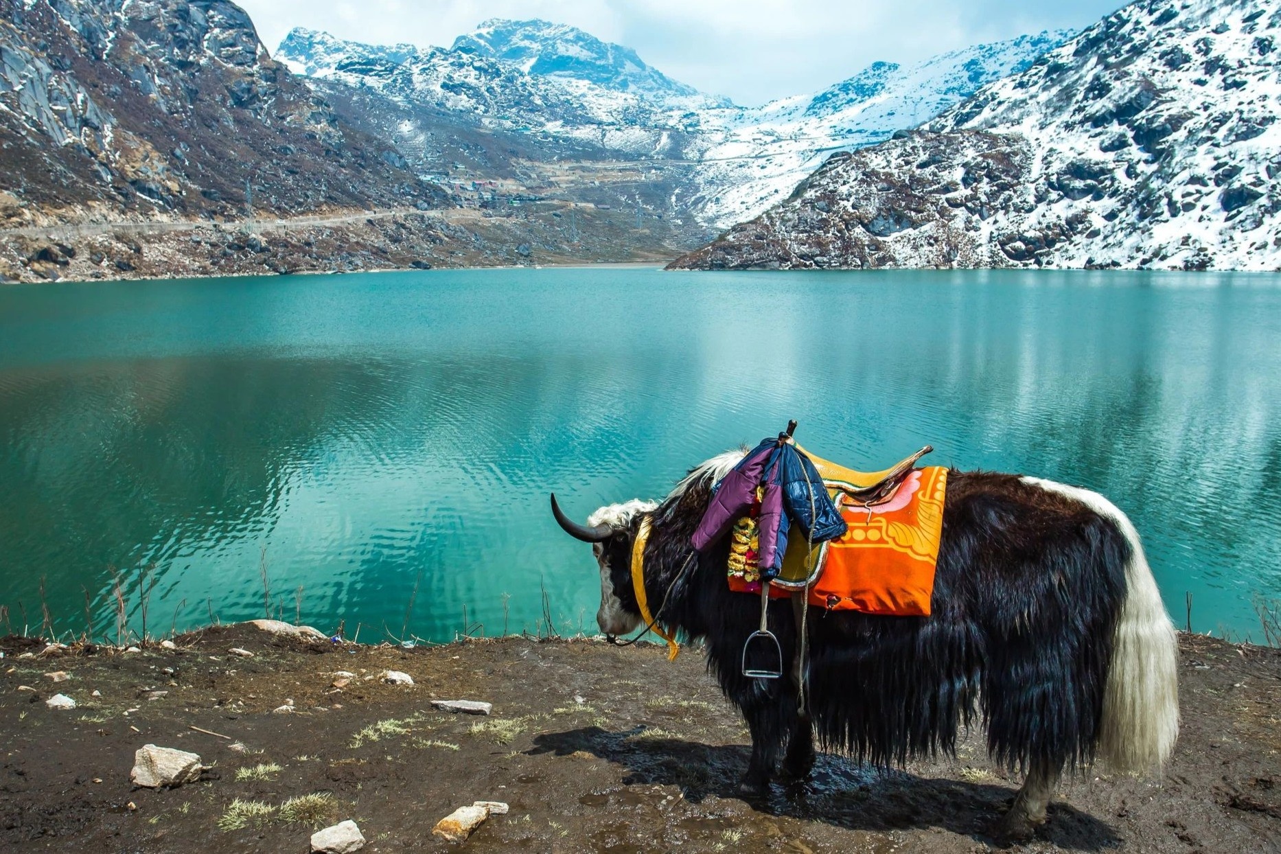 kinh nghiem du lich An Do anh 5