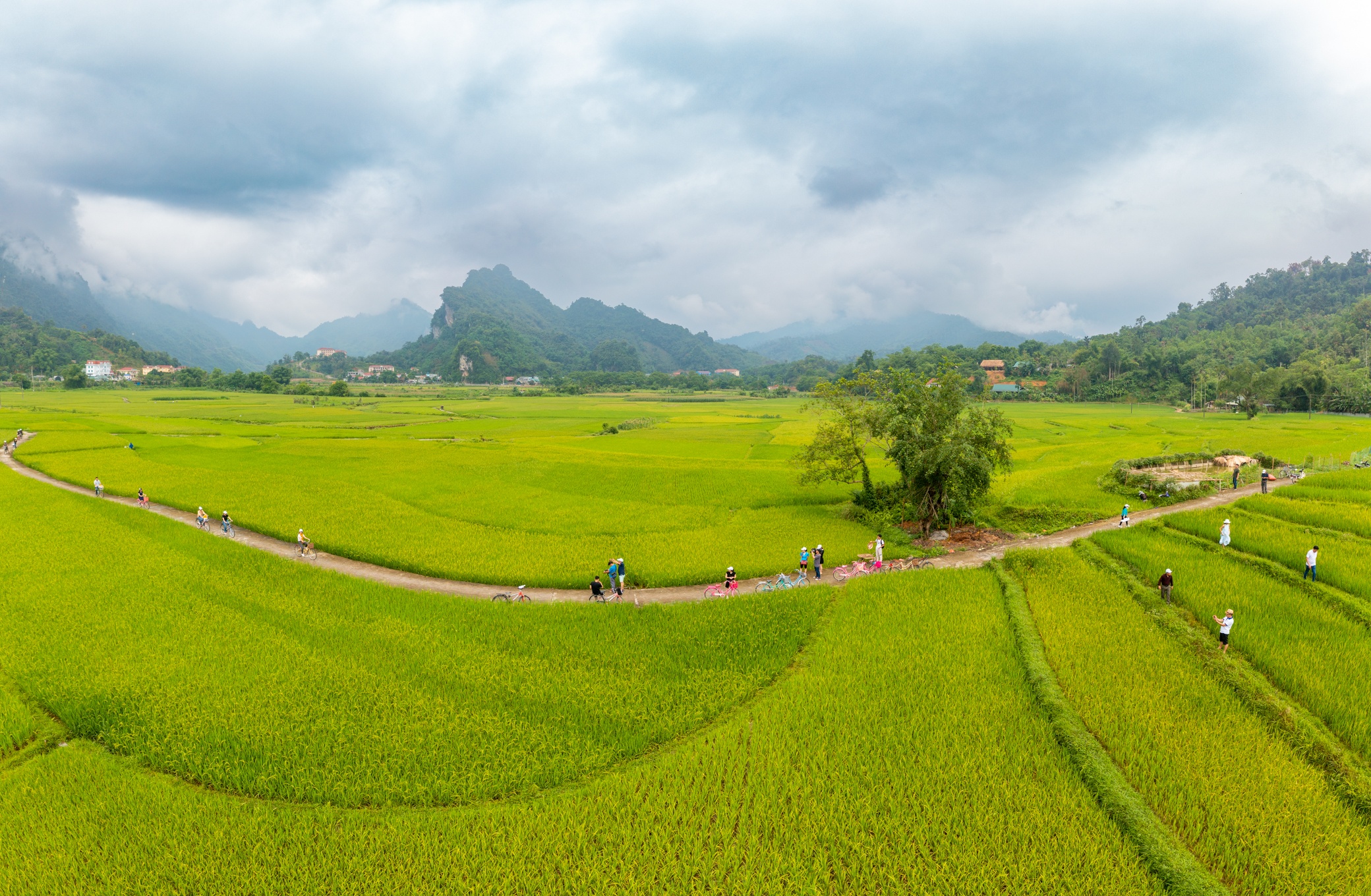 du lịch Tuyên Quang ảnh 4 du lich Tuyen Quang anh 4