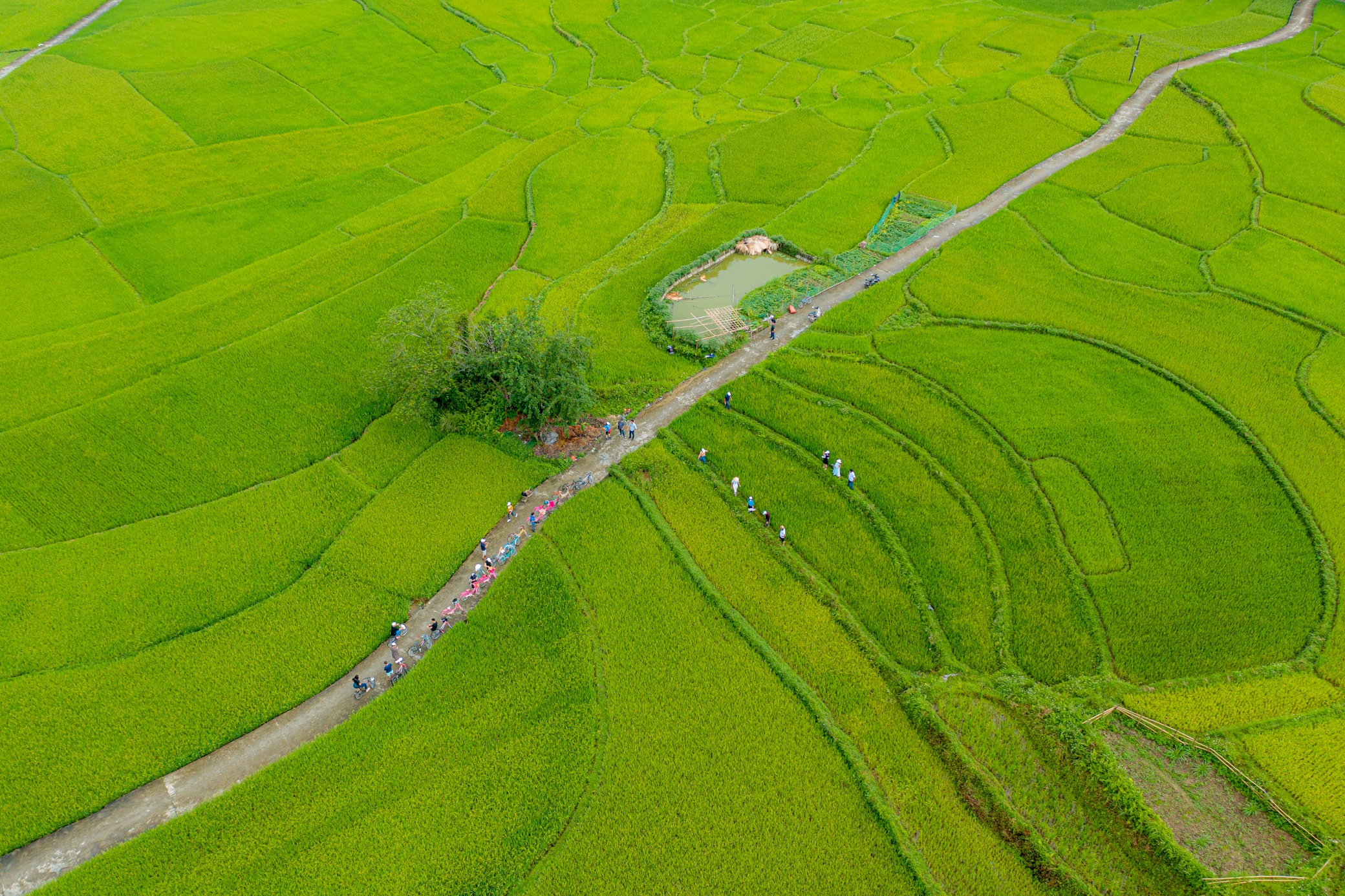 du lịch Tuyên Quang ảnh 5 du lich Tuyen Quang anh 5
