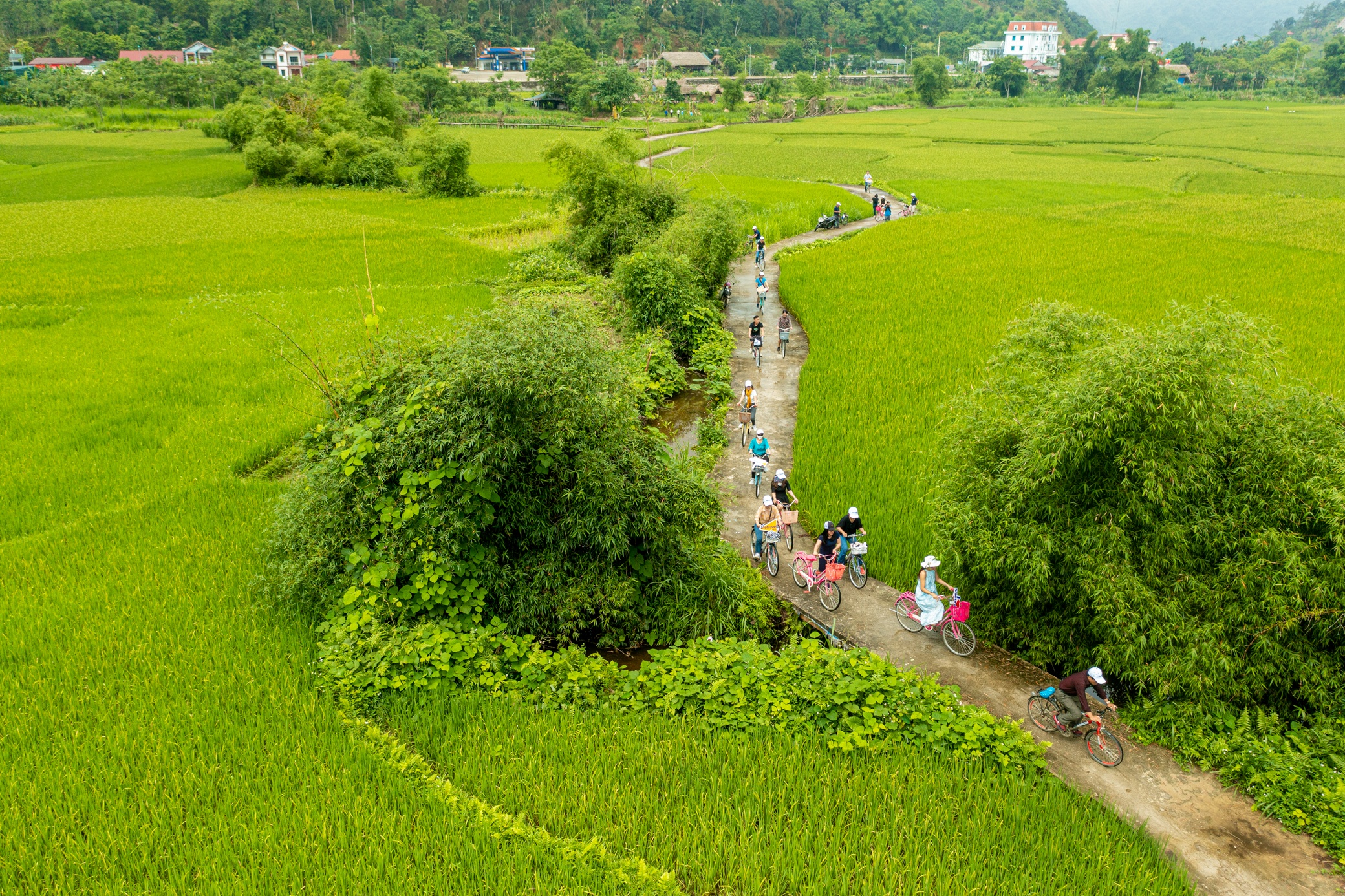 Dap xe giua ruong lua, thu lam banh trung kien cua nguoi Tay hinh anh
