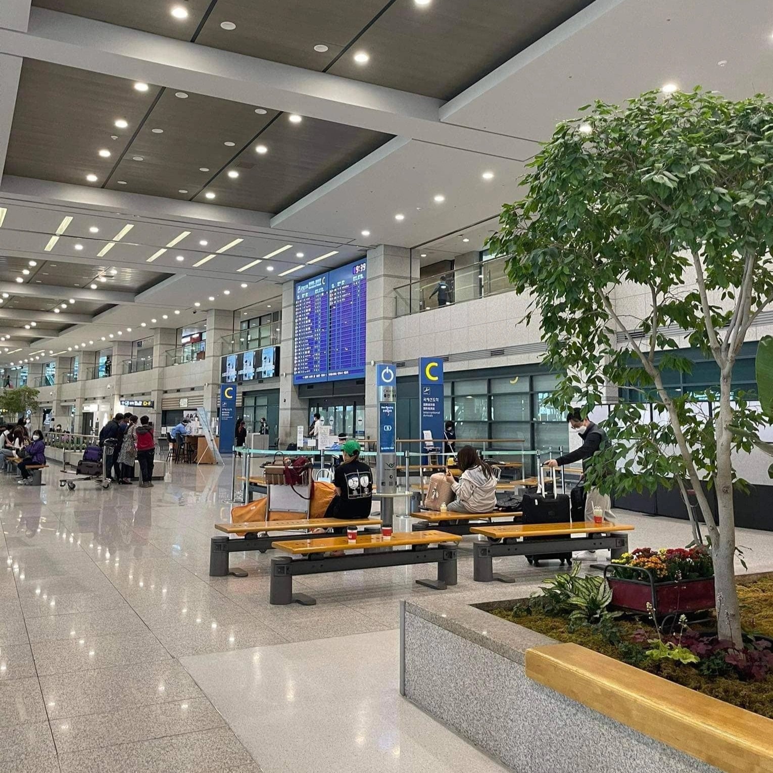 khách Việt nhập cảnh Hàn Quốc ảnh 4 khach Viet nhap canh Han Quoc anh 4