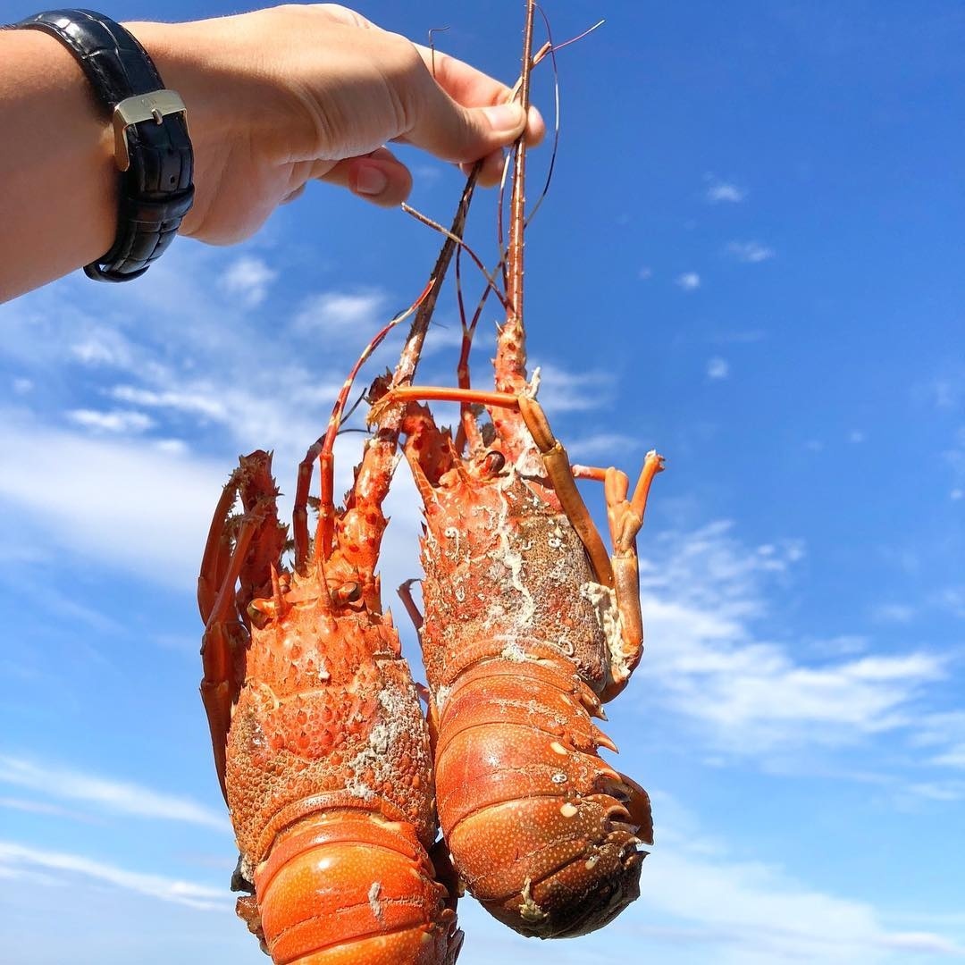 du lịch Bình Thuận mùa hè ảnh 2 du lich Binh Thuan mua he anh 2