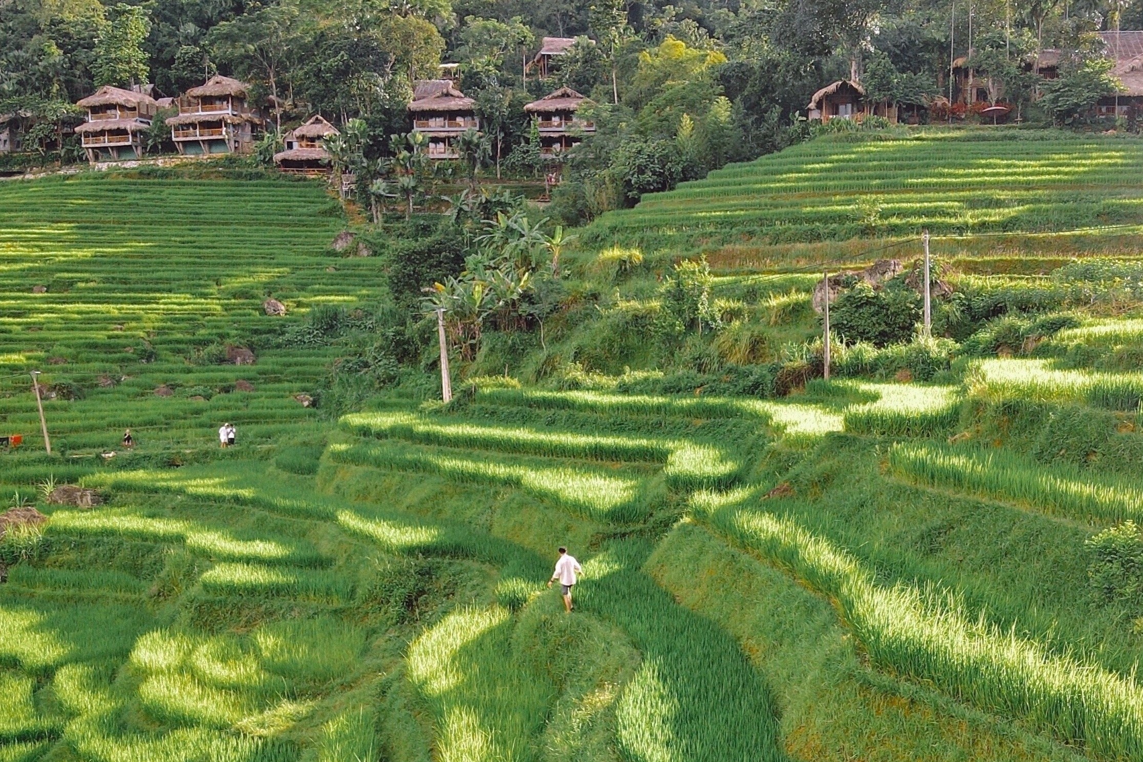 Choi gi o Thanh Hoa hinh anh