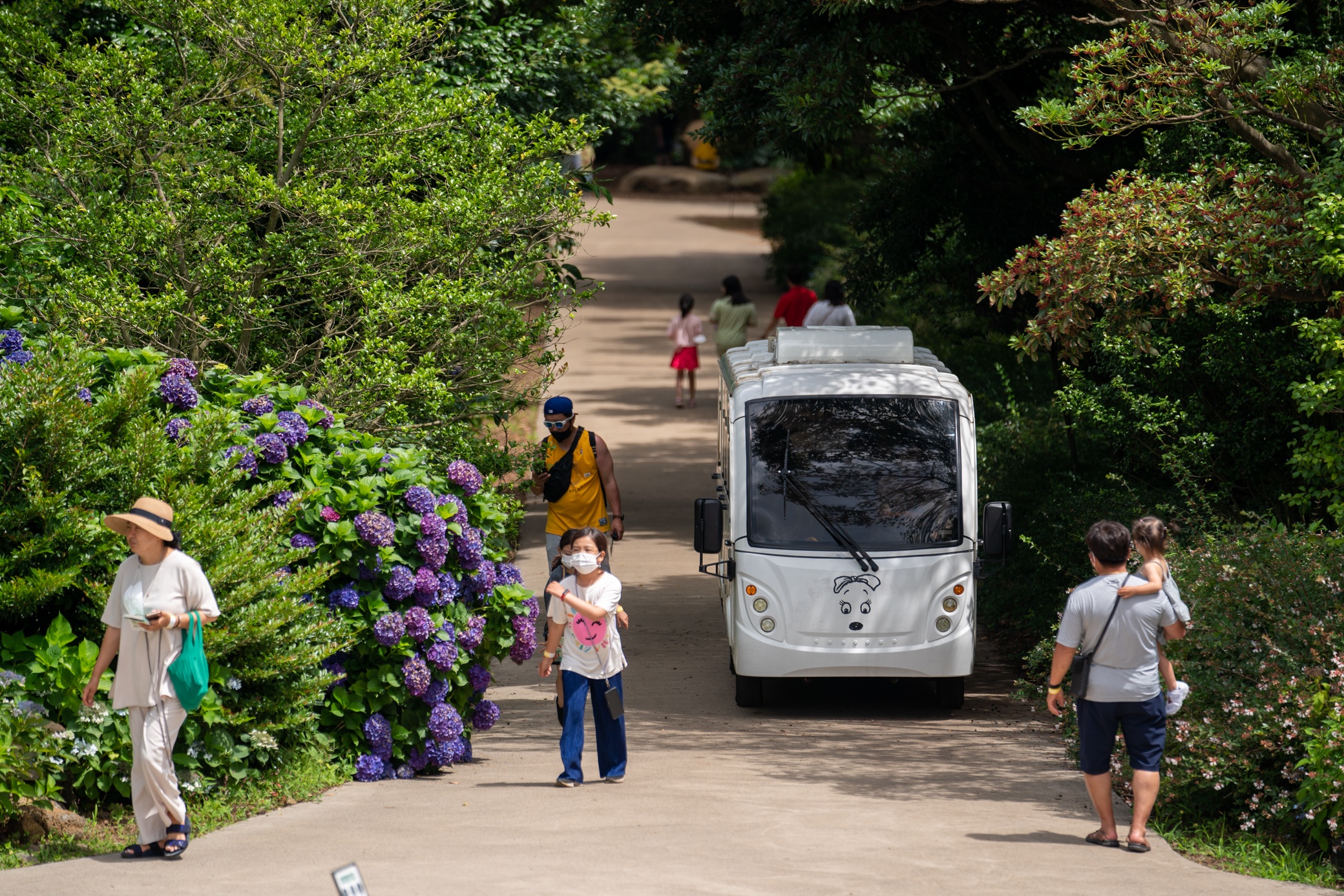 Snoopy Garden Jeju anh 7