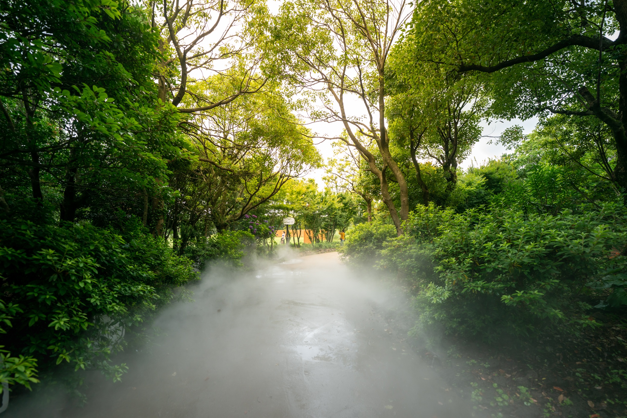 Snoopy Garden Jeju anh 10