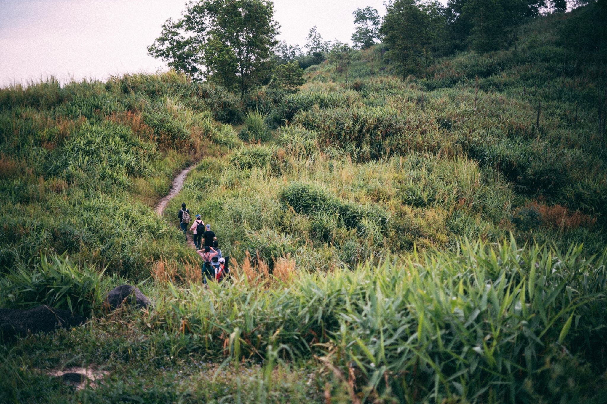 Du lich cuoi he tai cac diem den o Dong Nai hinh anh