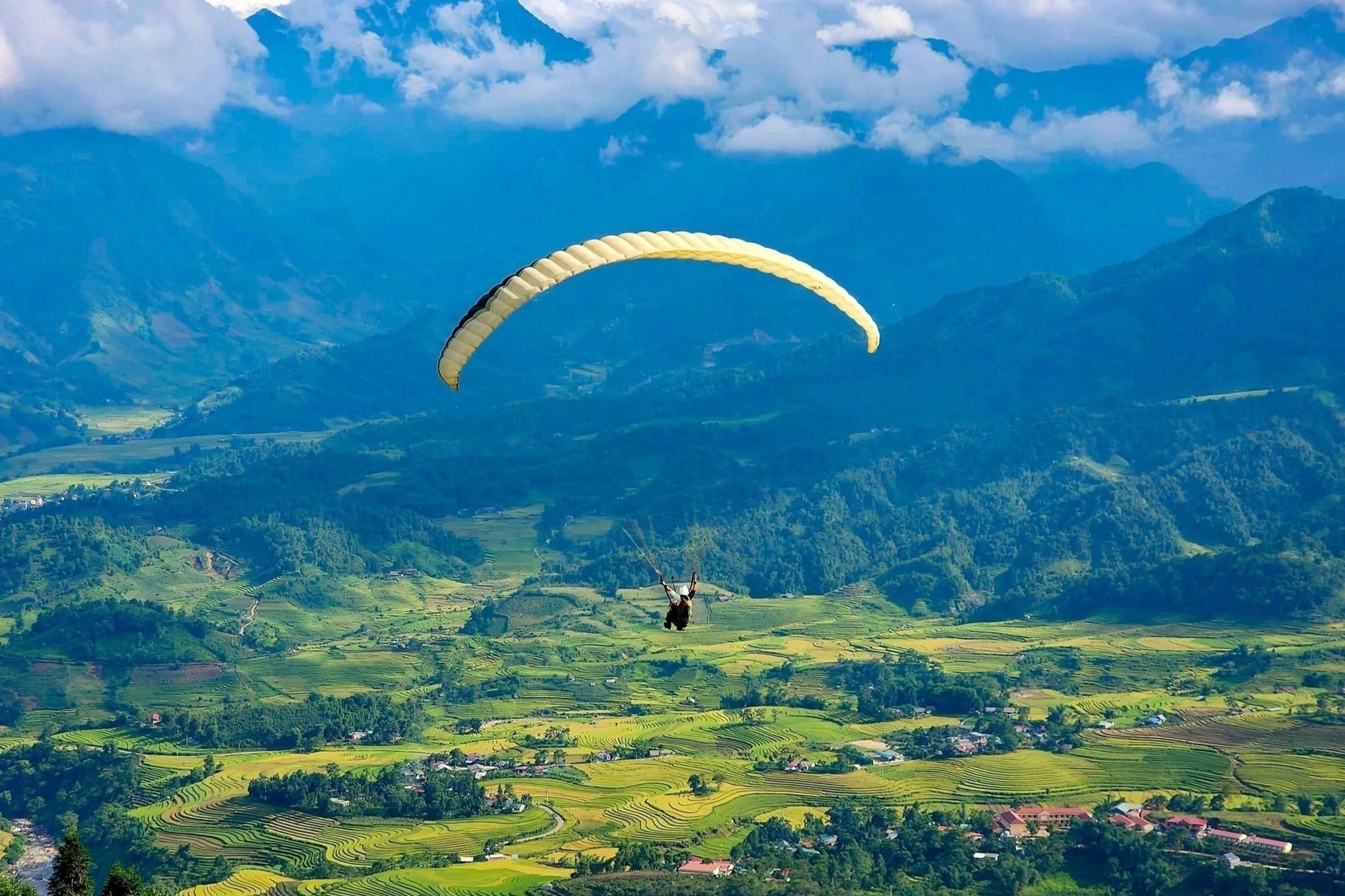 Bay du luon o Viet Nam hinh anh