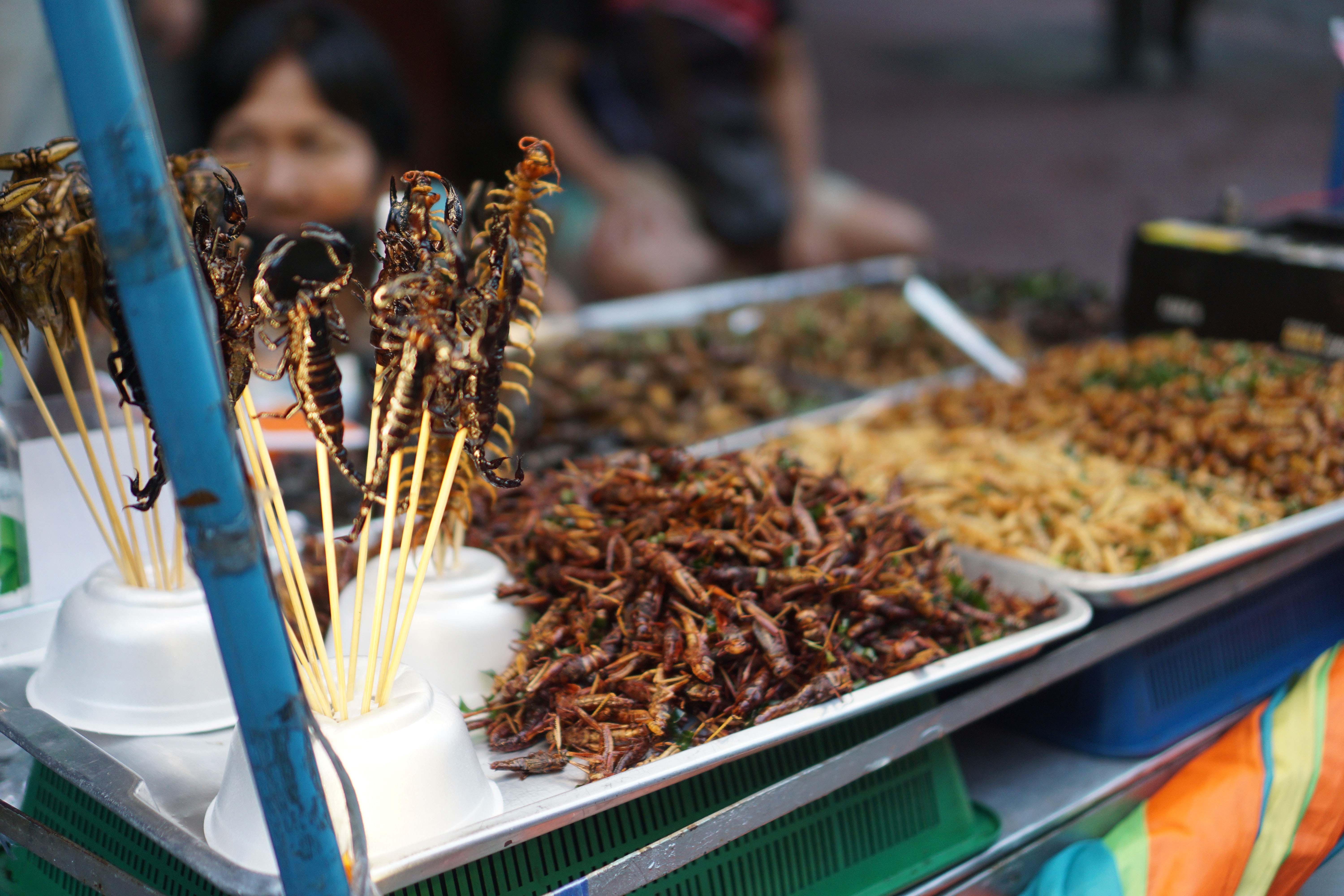 du lich Thai Lan anh 6