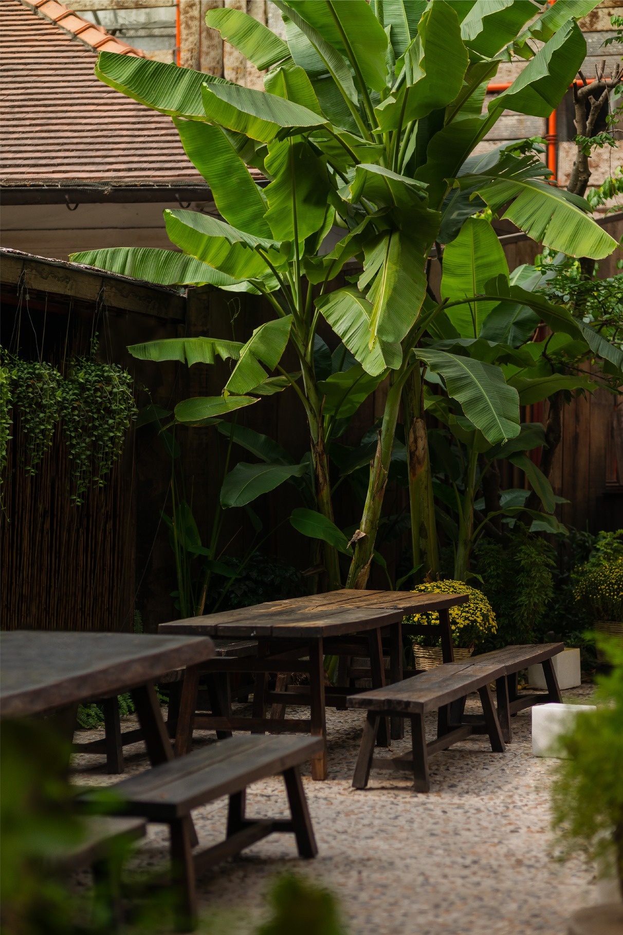 ăn gì TP.HCM ảnh 6 an gi TP.HCM anh 6