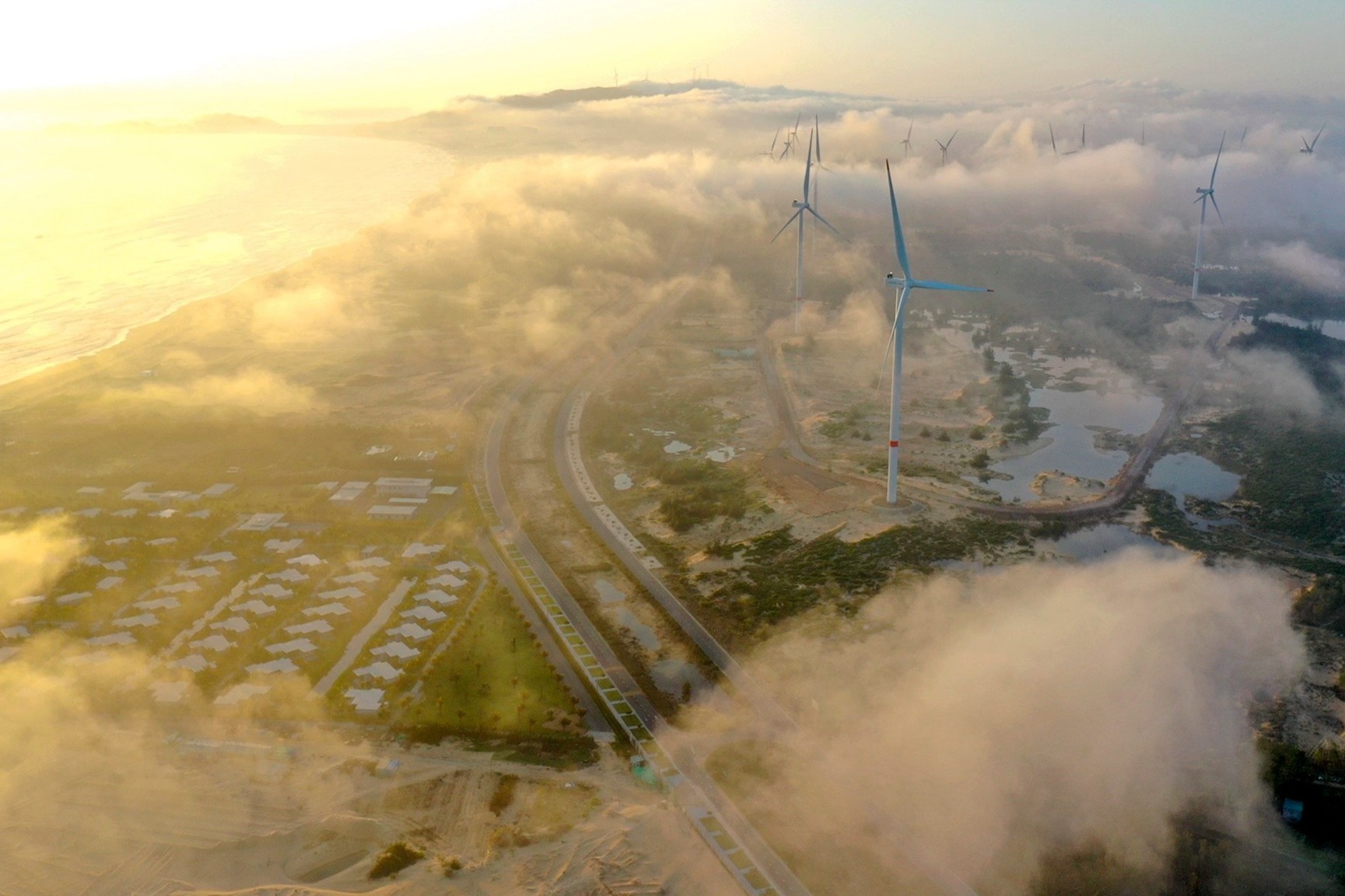 Check-in 5 canh dong quat gio noi tieng hinh anh