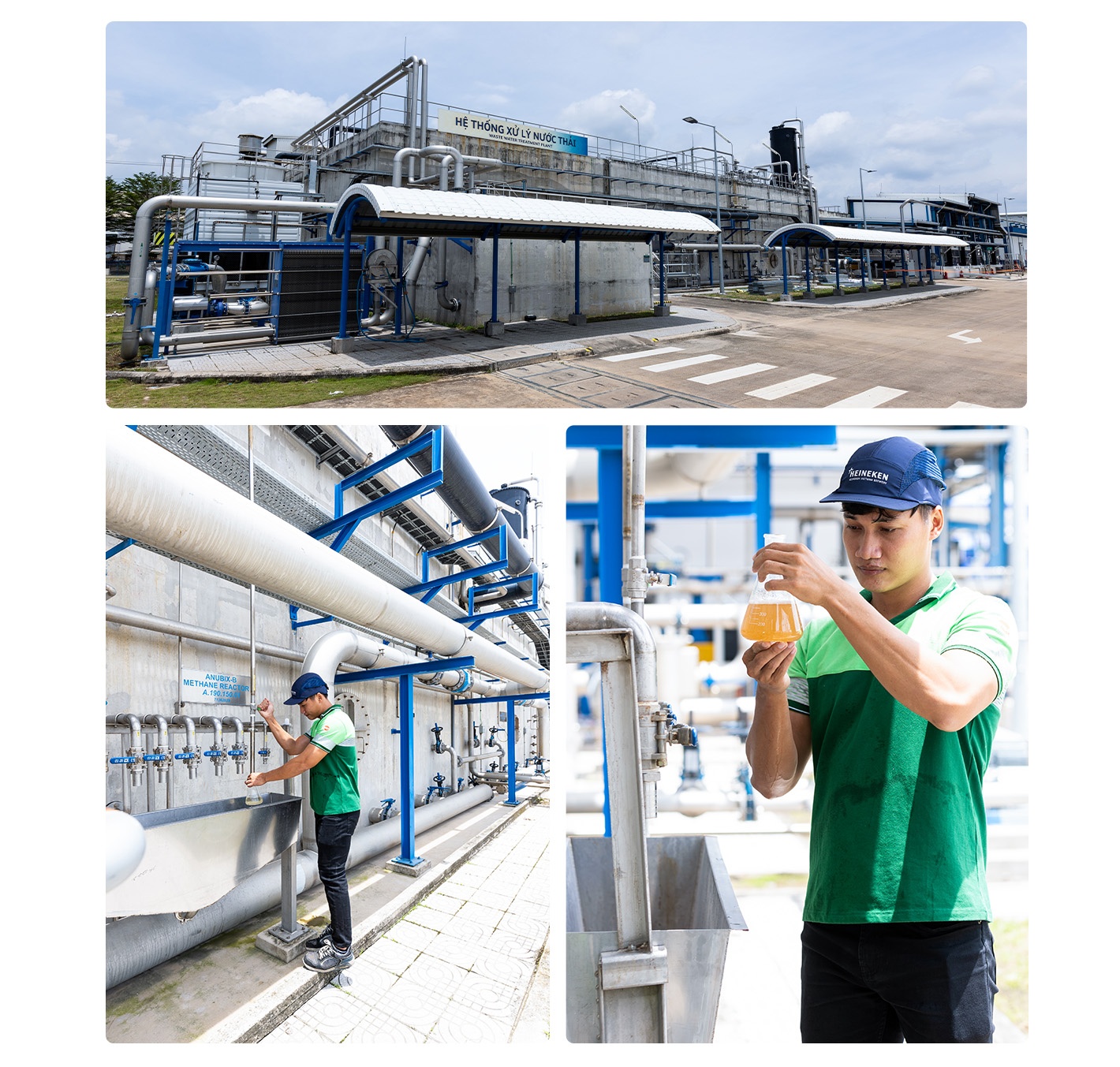 Heineken Vung Tau anh 5