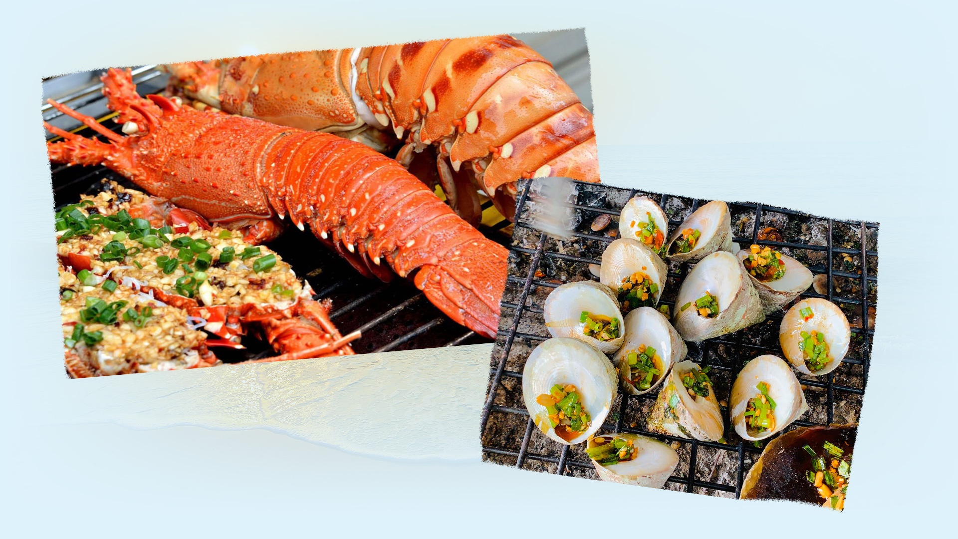 du lich con dao,  kham pha con dao anh 13