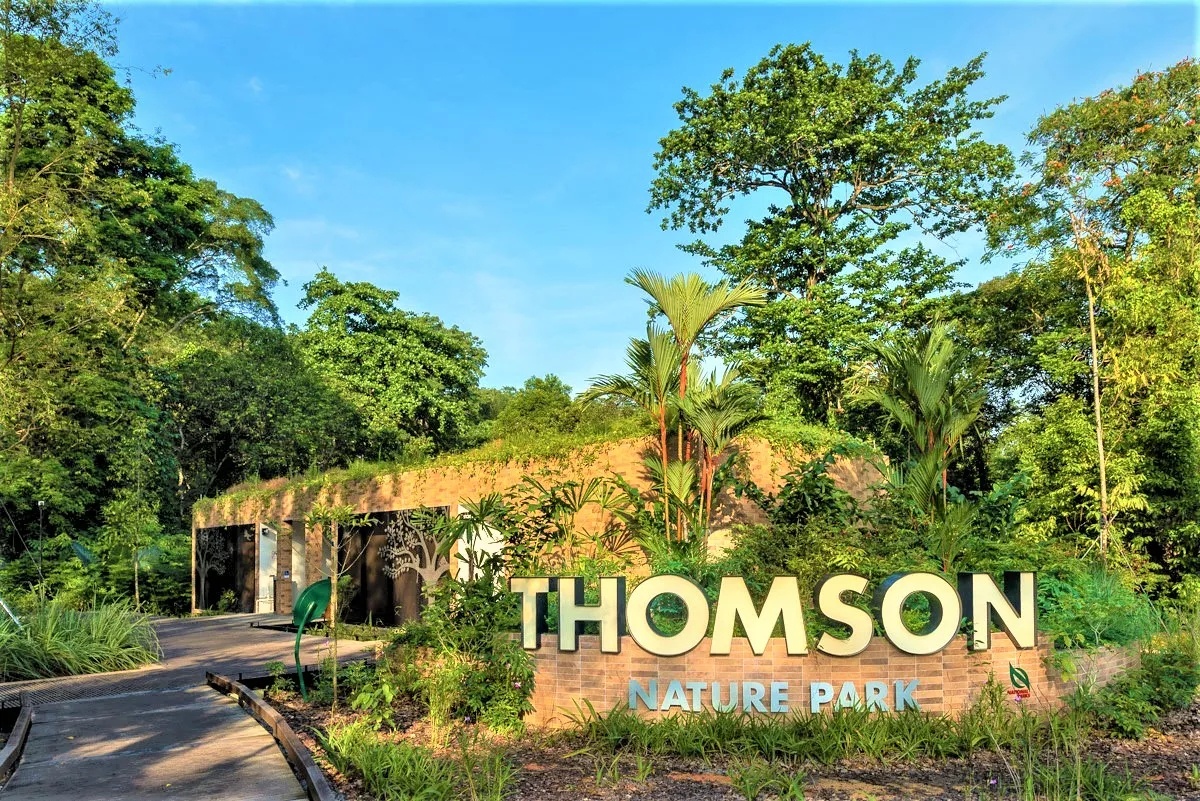 Hoa minh vao khong khi binh yen cua khu pho Thomson tai Singapore hinh anh