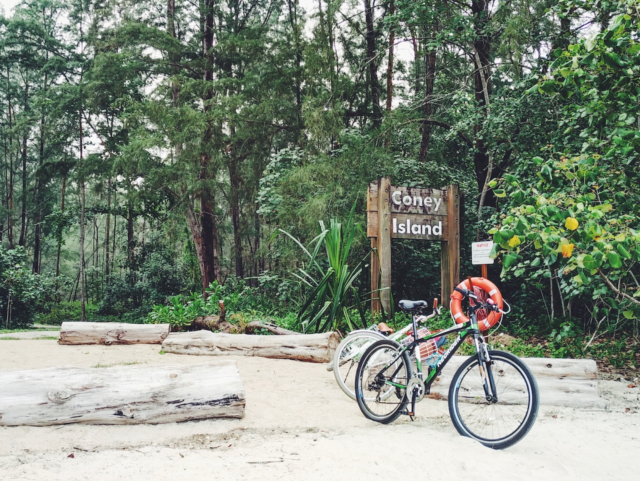 Singapore ảnh 4 Singapore anh 4