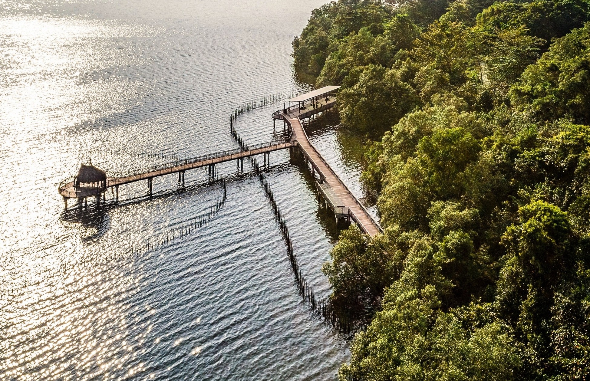 Roi nhip song thanh thi, tim binh yen chon thien nhien tai Singapore hinh anh