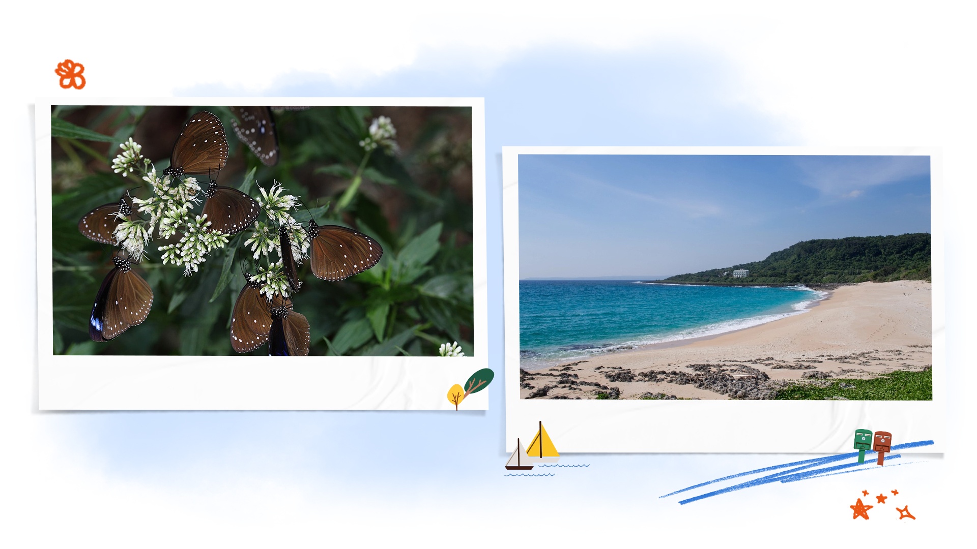 Đài Loan ảnh 7 Dai Loan anh 7