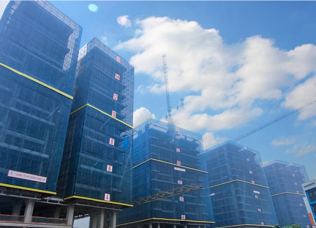 Sunshine Green Iconic anh 1