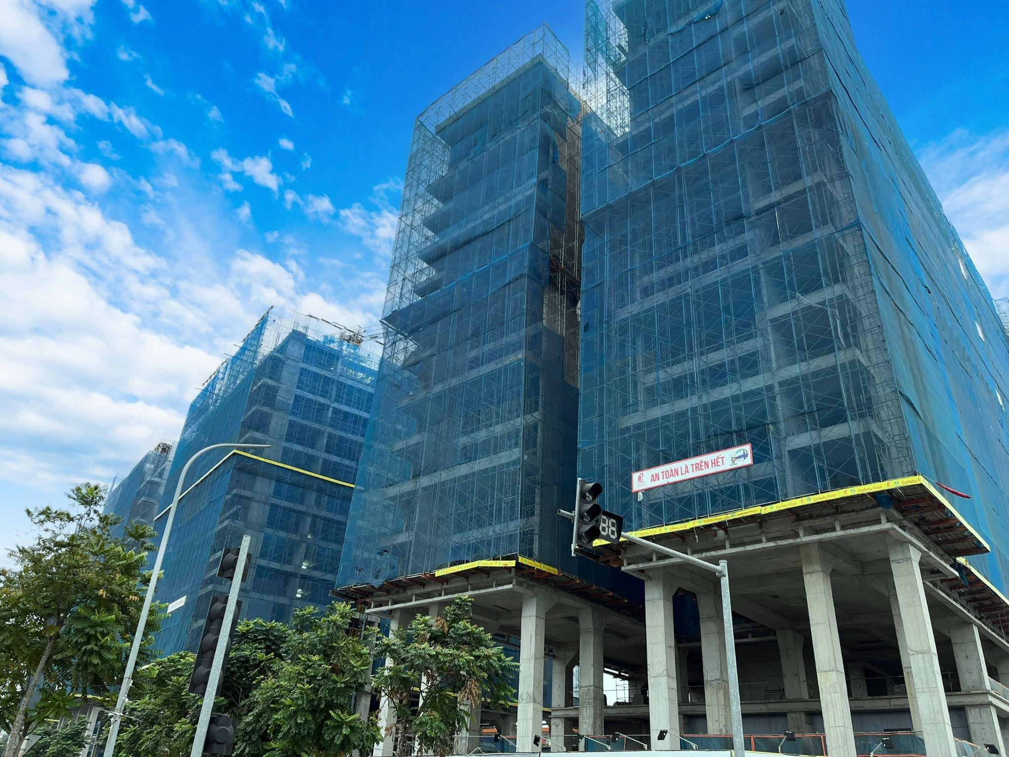 Sunshine Green Iconic anh 3