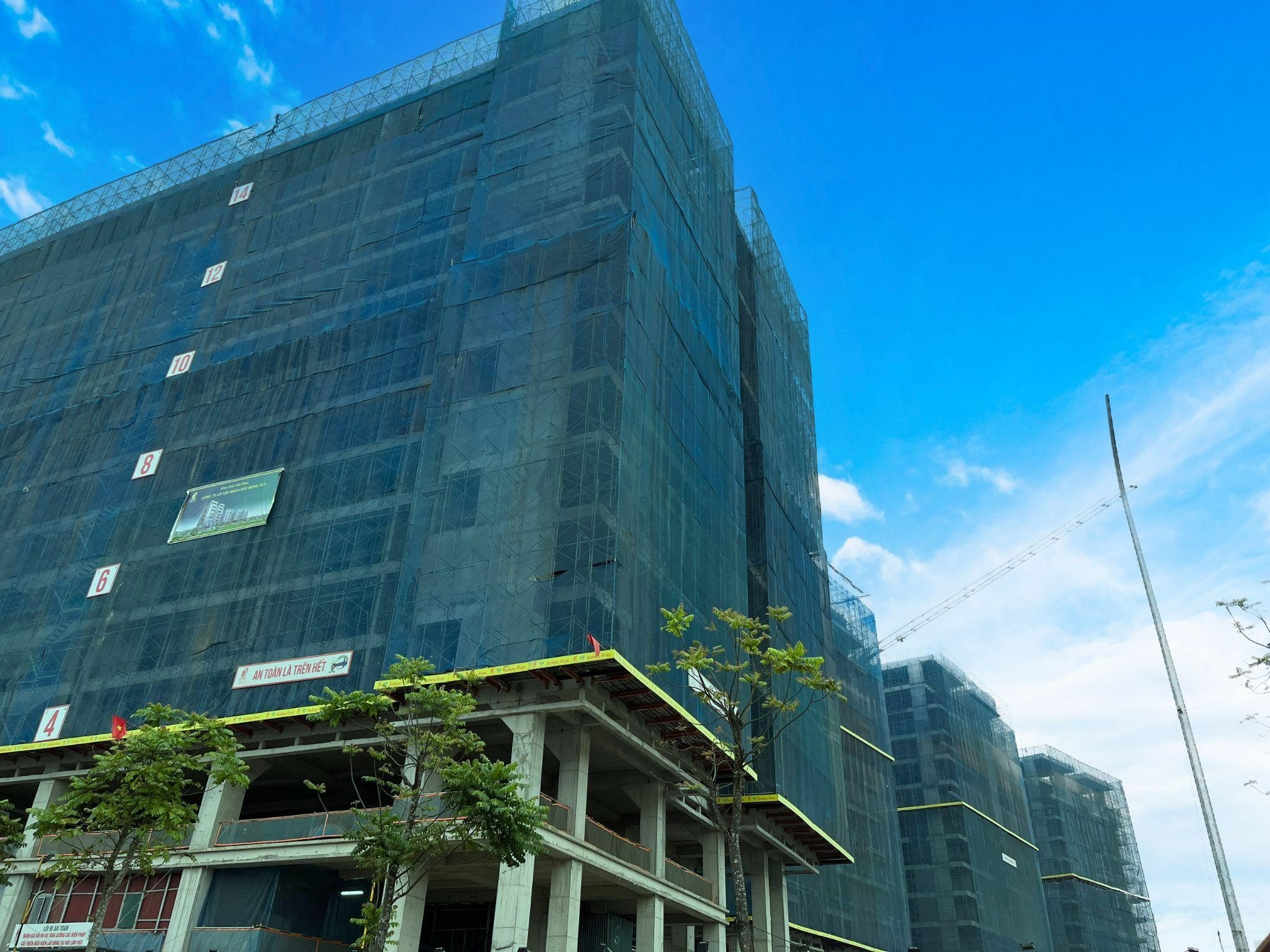 Sunshine Green Iconic anh 4