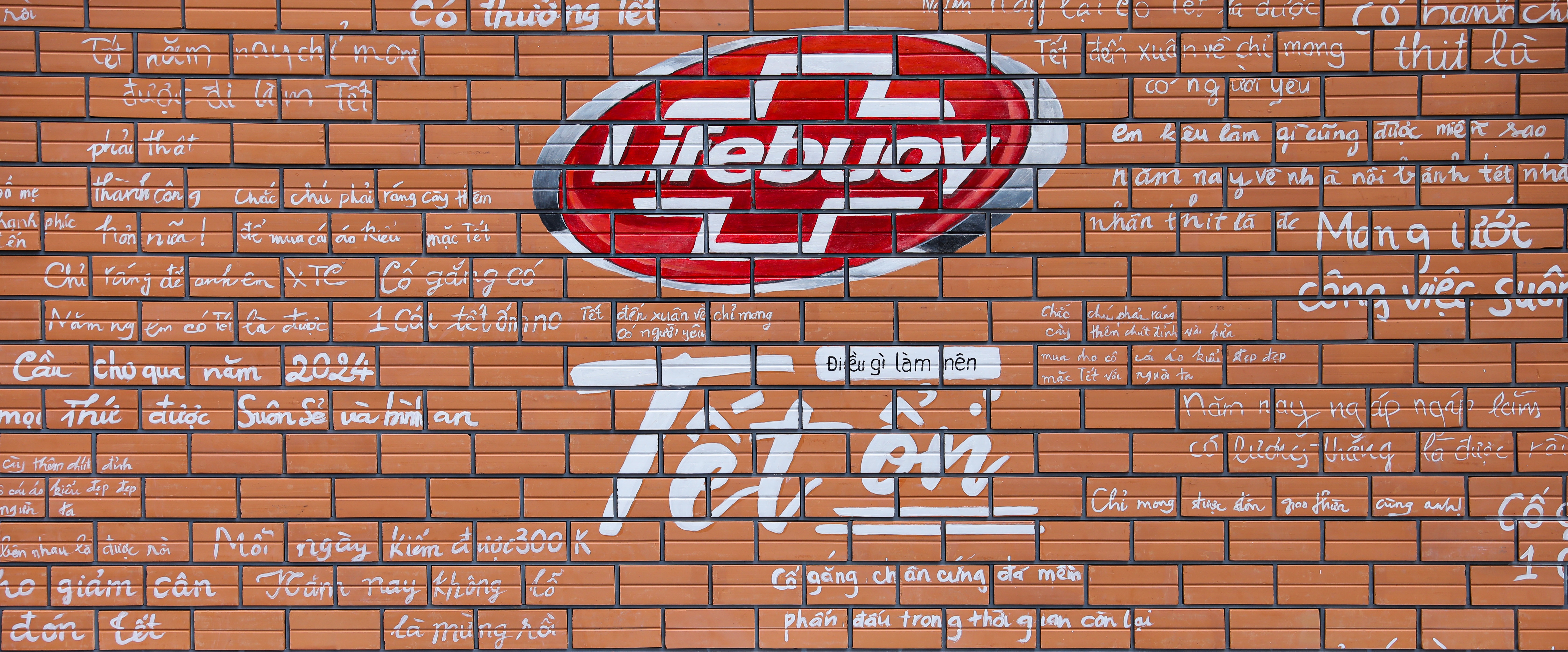 Lifebuoy anh 1