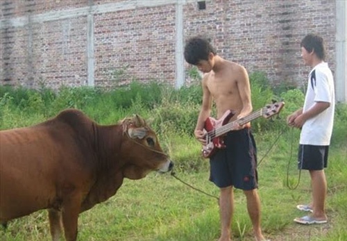 Nhung nguoi chau A khoi hai (phan 37) hinh anh