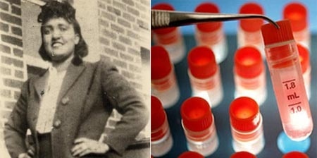 Bi an ve cac te bao co the nguoi bat tu hinh anh