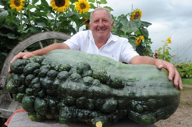 Bi ngo 'quai vat' phat trien than toc hinh anh