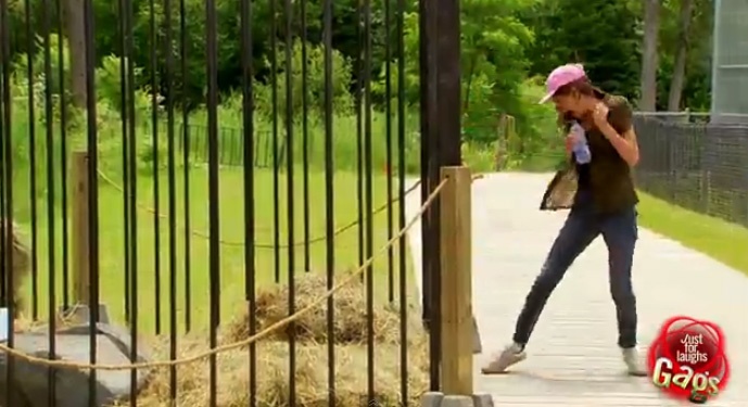 Clip hai: Ho vo hinh hinh anh