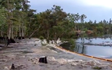 Ho tu than nuot tron hang chuc cay trong 1 phut hinh anh