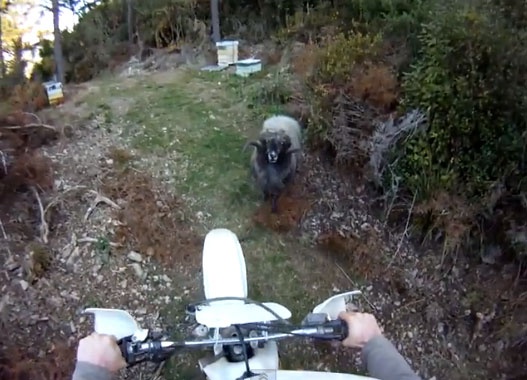 Cuu duc chan duong mo to hinh anh