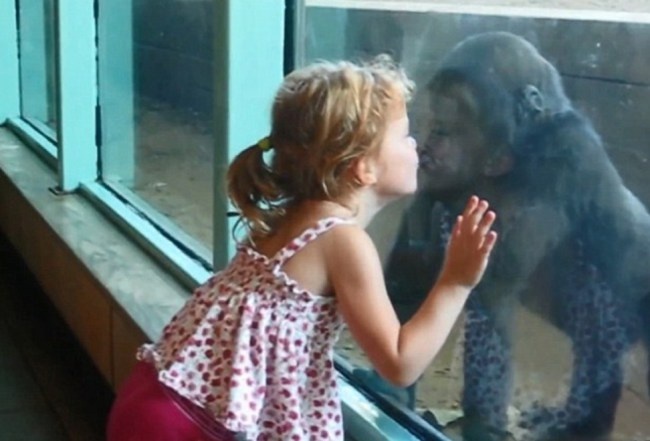 Clip vui: Be gai hon khi dot hinh anh