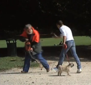 Clip hai: Nguoi dan ong 'gan do' hinh anh