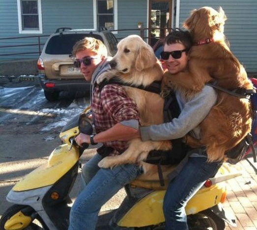 Nhung hinh anh khoi hai tren duong hinh anh