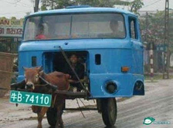 Em o dau anh phi trau den don hinh anh