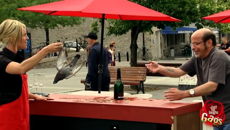 Bat champagne, chet chim hinh anh